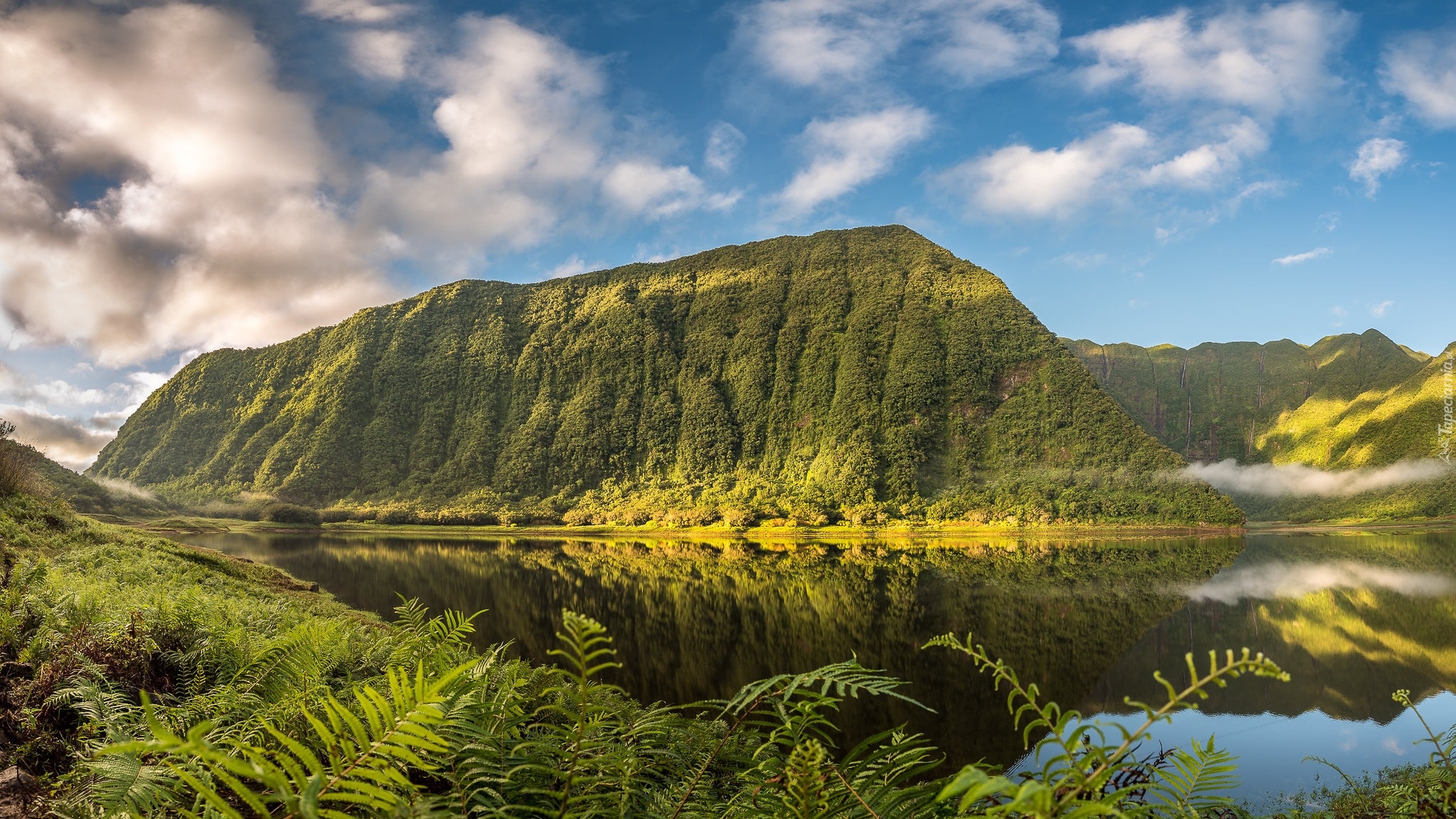 Zalesione, Góry, Jezioro, Grand Etang, Rośliny, Paprocie, Saint-Benoît, Wyspa Reunion, Francja