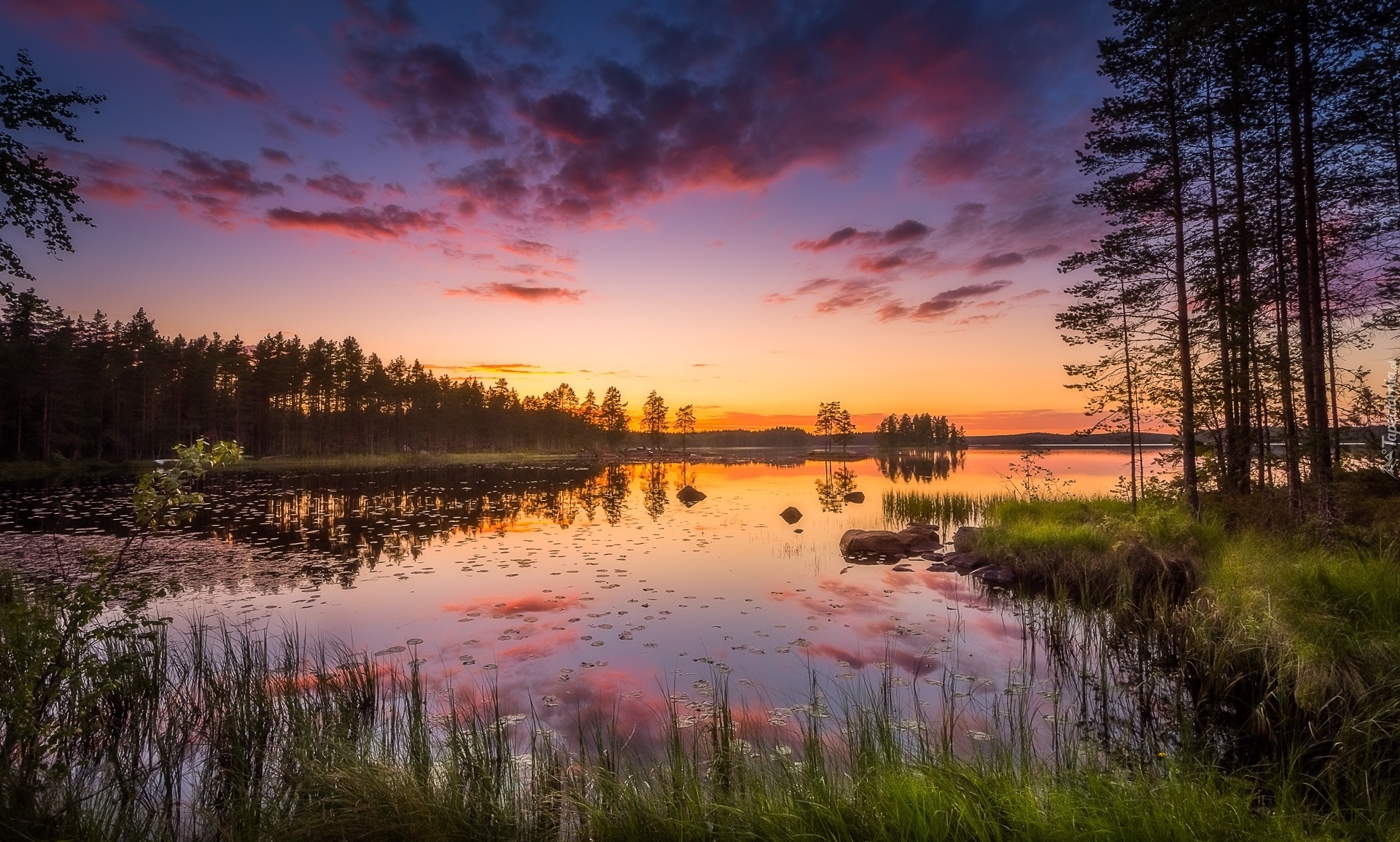 Finlandia, Gmina Ruovesi, Park Narodowy Helvetinjärvi, Jezioro Haukkajärvi, Drzewa, Trawy, Zachód słońca, Chmury