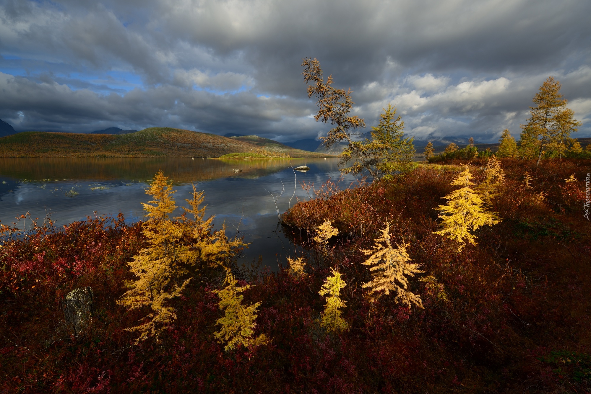 Jesień, Drzewa, Jezioro Jack London, Góry, Kołyma, Obwód magadański, Rosja