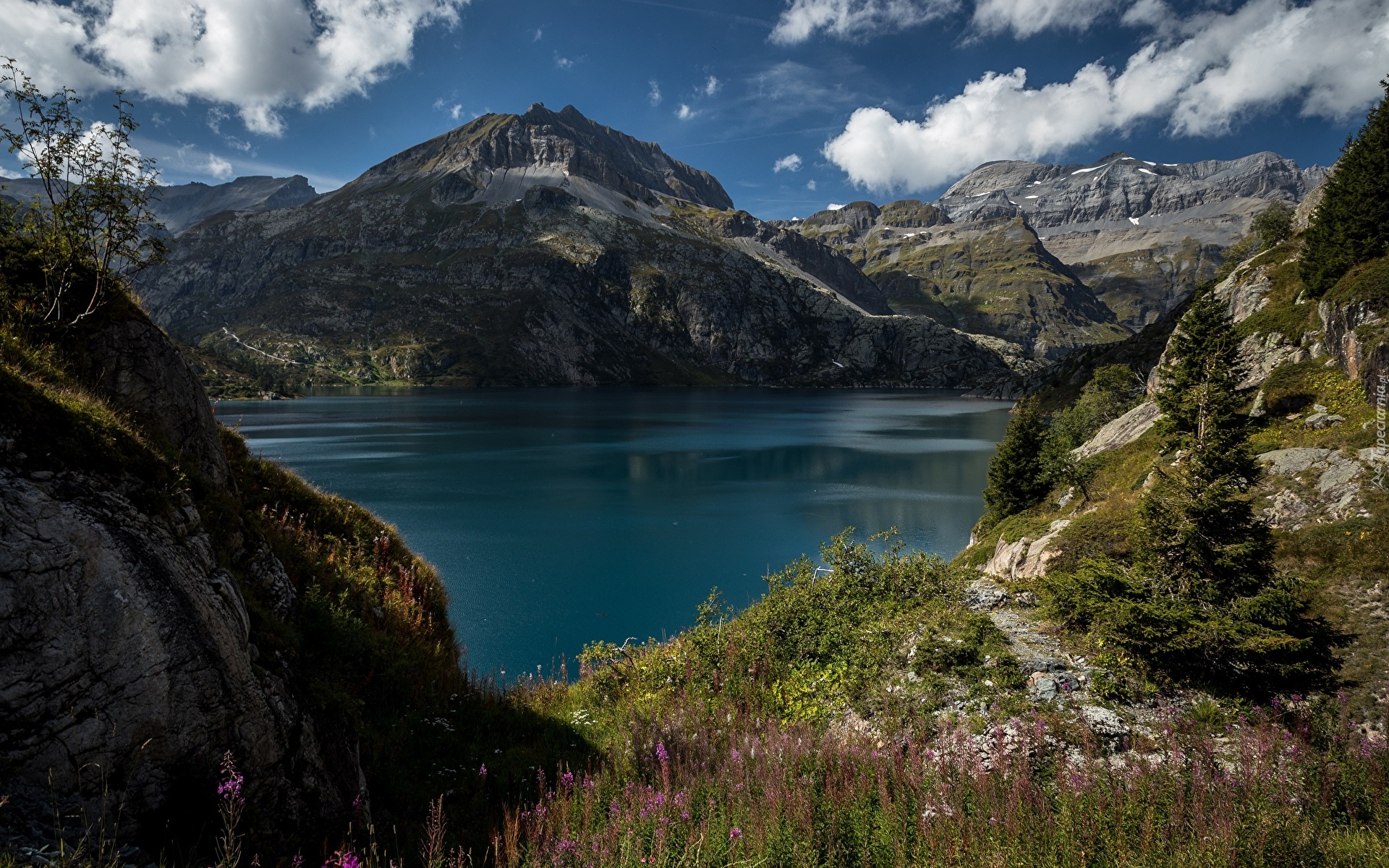 Góry Alpy, Jezioro Lac dEmosson, Świerki, Trawa, Chmury, Kanton Valais, Szwajcaria