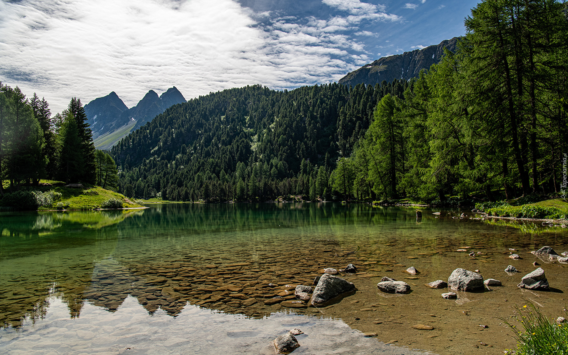 Jezioro, Lai da Palpuogna, Góry, Alpy Retyckie, Drzewa, Gryzonia, Szwajcaria