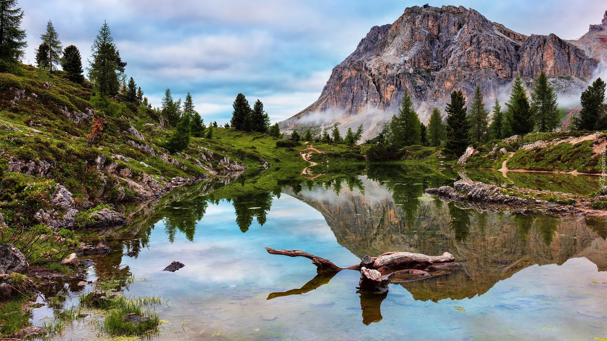 Jezioro, Lago di Limides, Góry, Dolomity, Drzewa, Odbicie, Włochy