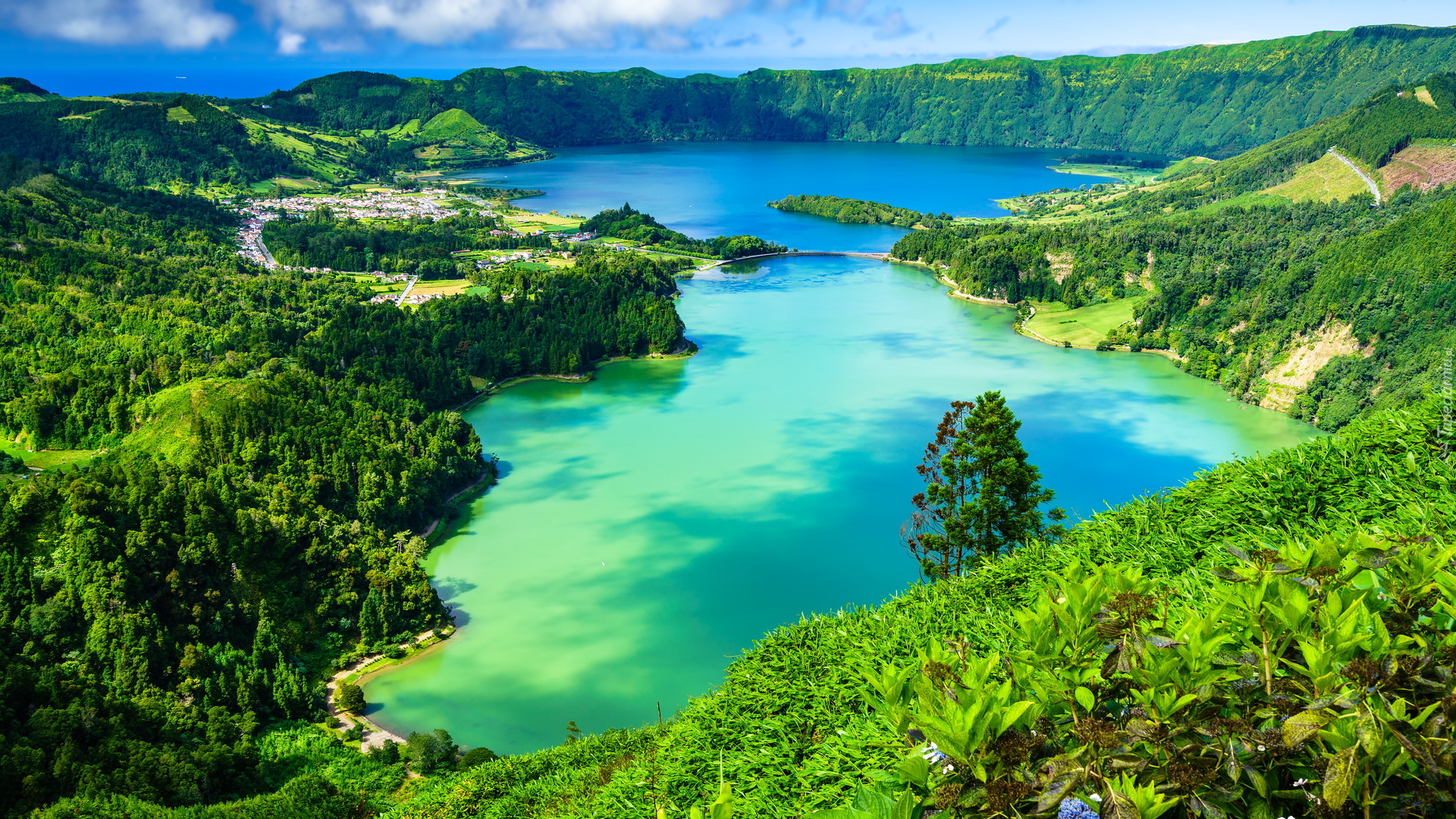 Jezioro, Lagoa do Fogo, Drzewa, Lasy, Góry, Masyw Sete Cidades, Ponta Delgada, Wyspa Sao Miguel, Azory, Portugalia