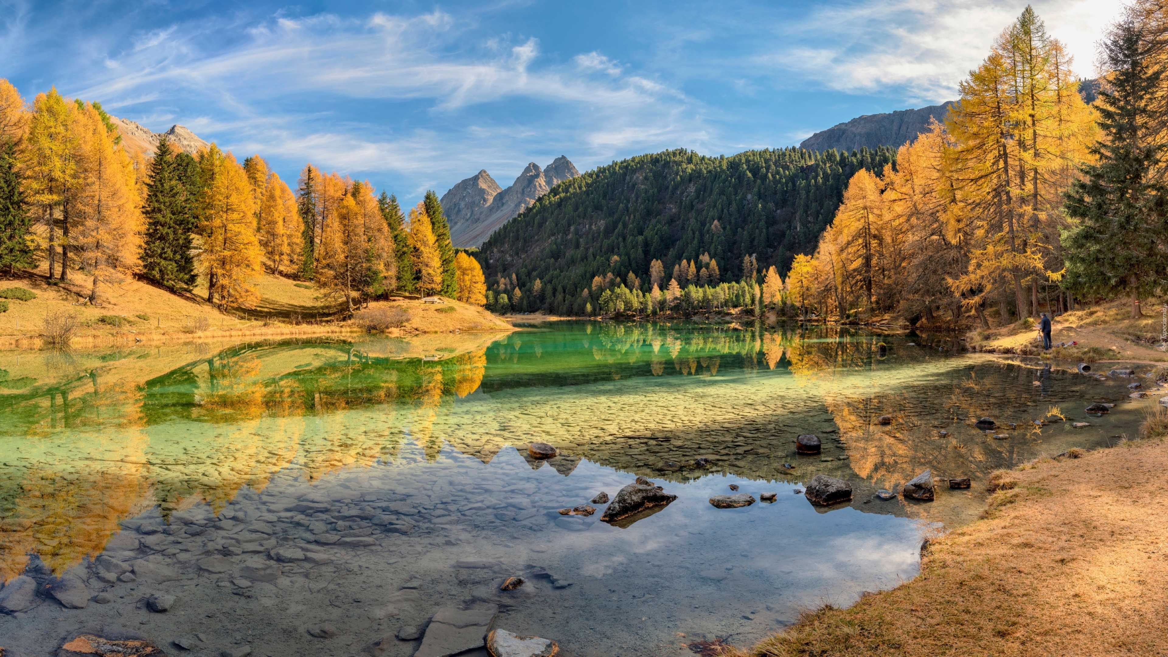Jezioro, Lai da Palpuogna, Góry, Alpy Retyckie, Drzewa, Jesień, Gryzonia, Szwajcaria