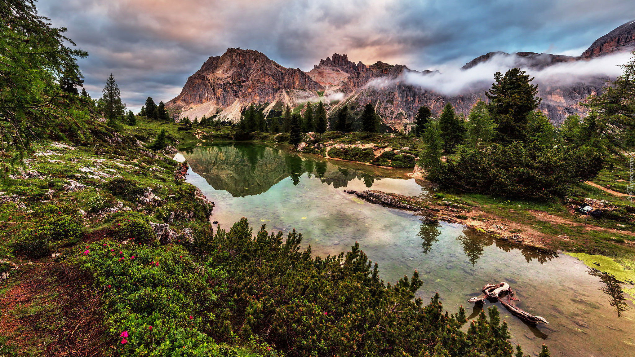 Jezioro, Limides Lago, Góry, Dolomity, Mgła, Drzewa, Krzewy, Tyrol, Włochy