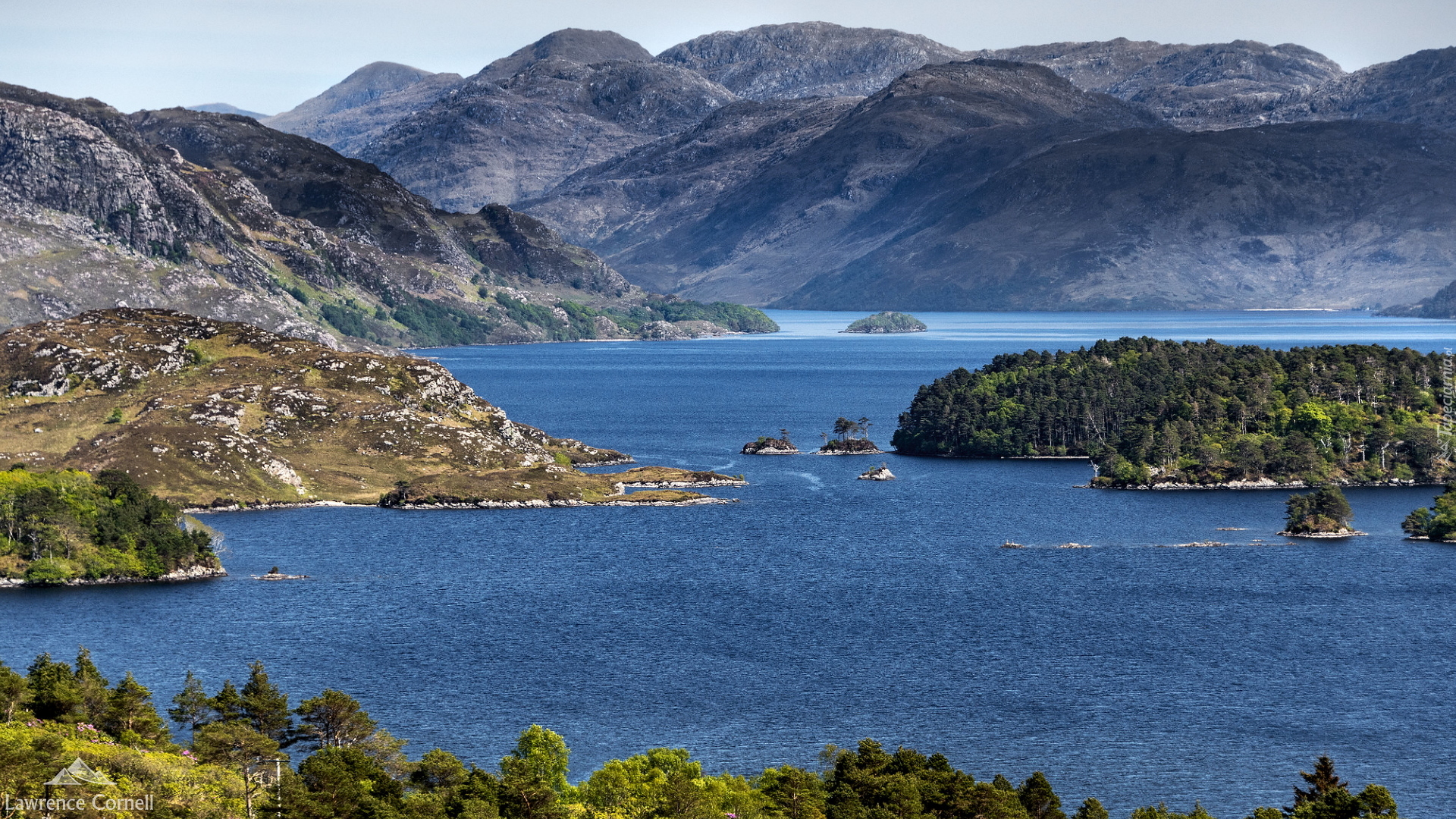 Jezioro, Loch Morar, Góry, Wysepki, Drzewa, Hrabstwo Highland, Szkocja