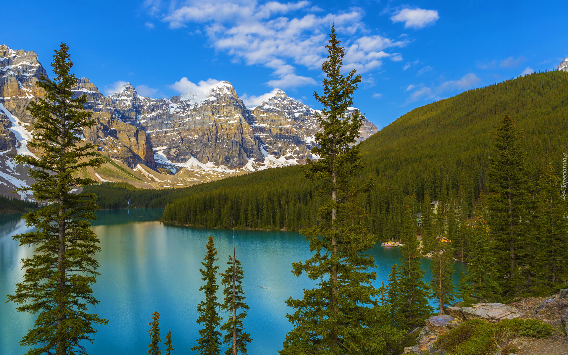 Góry, Jezioro, Moraine Lake, Las, Drzewa, Świerki, Park Narodowy Banff, Prowincja Alberta, Kanada