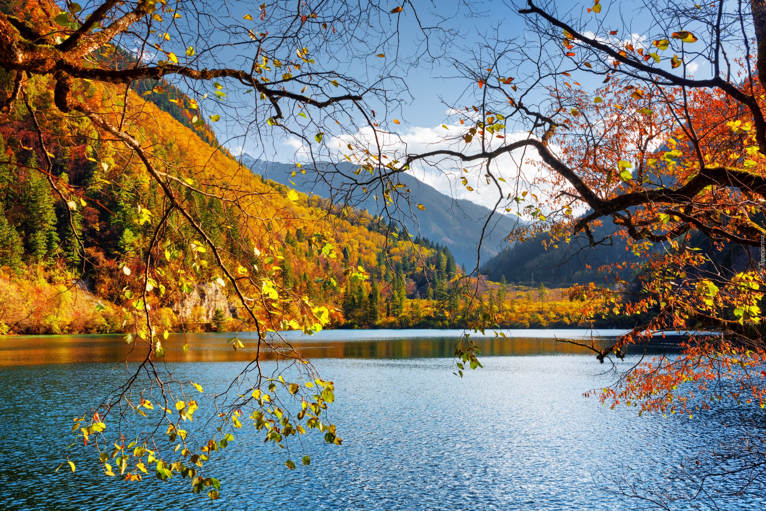 Chiny, Park Narodowy Jiuzhaigou, Jesień, Las, Góry, Jezioro Panda Lake, Drzewa