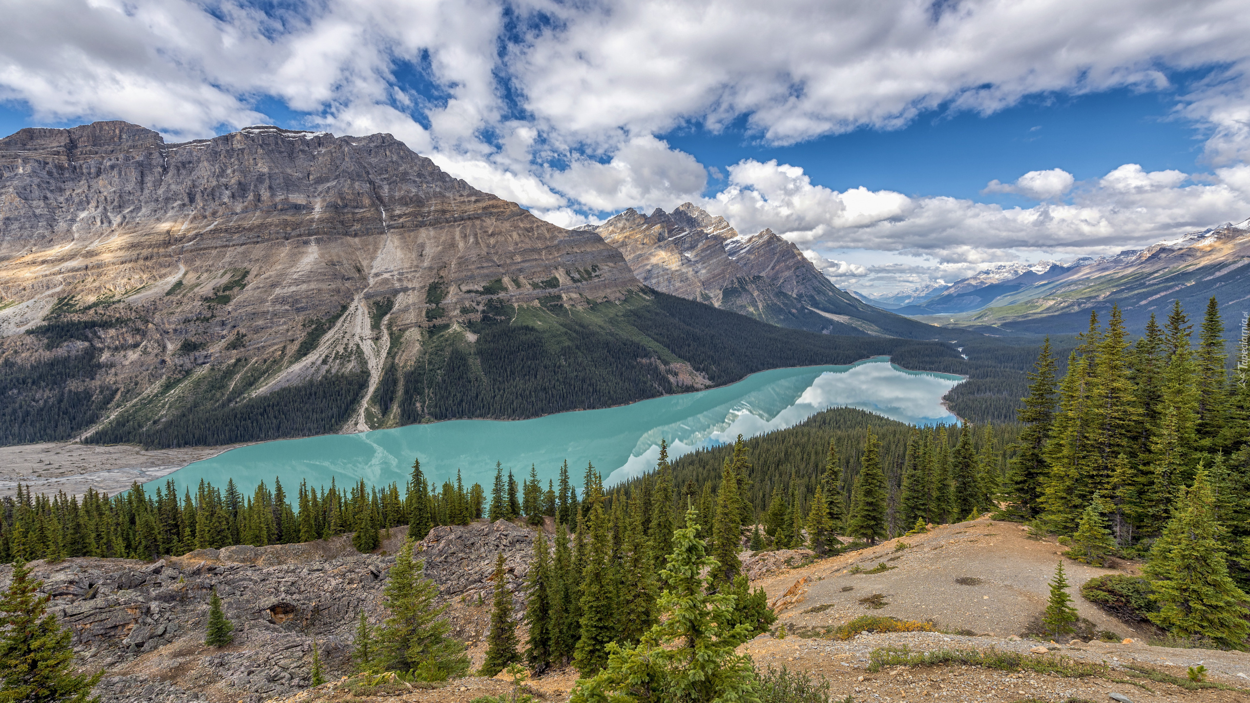 Park Narodowy Banff, Góry Canadian Rockies, Jezioro Peyto Lake, Lasy, Drzewa, Alberta, Kanada