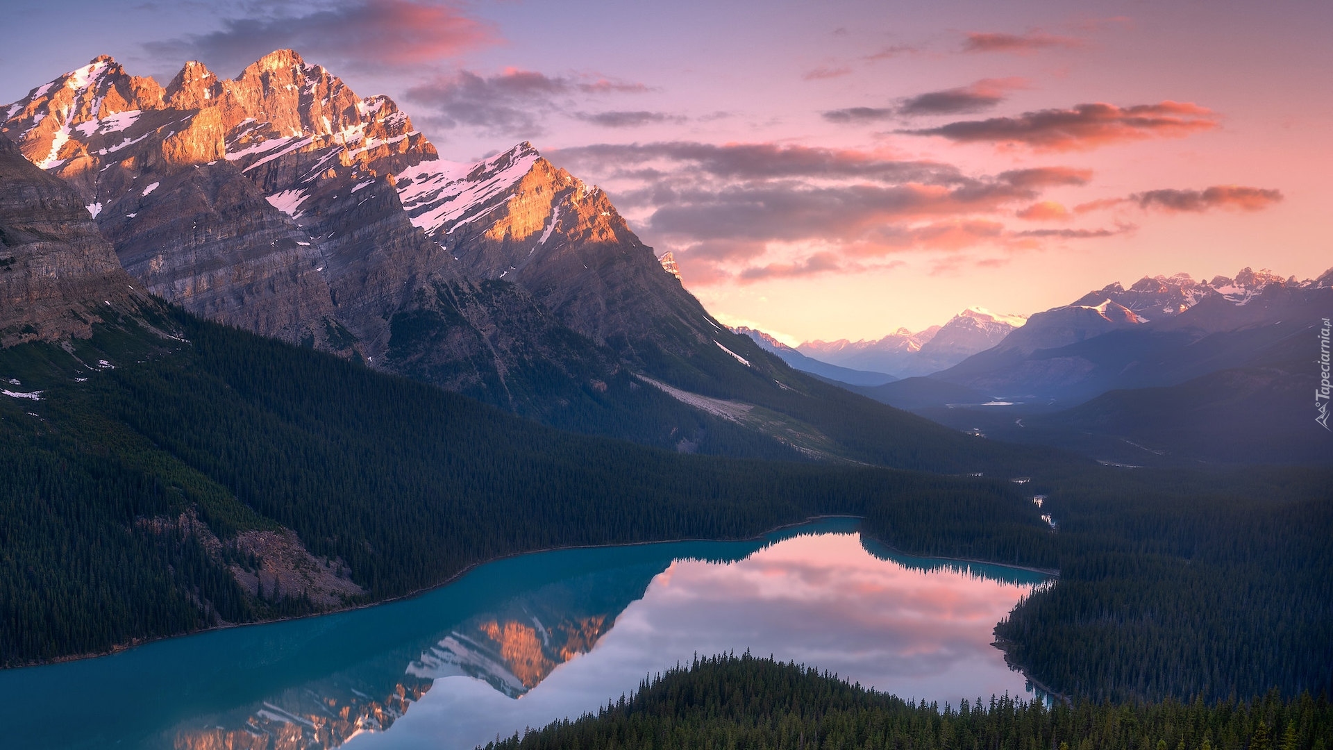 Kanada, Park Narodowy Banff, Jezioro, Peyto Lake, Góry, Canadian Rockies, Lasy, Chmury, Odbicie
