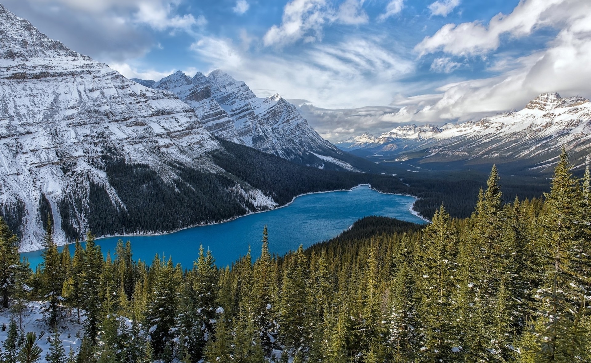 Park Narodowy Banff, Góry Canadian Rockies, Jezioro Peyto Lake, Lasy, Drzewa, Zima, Kanada