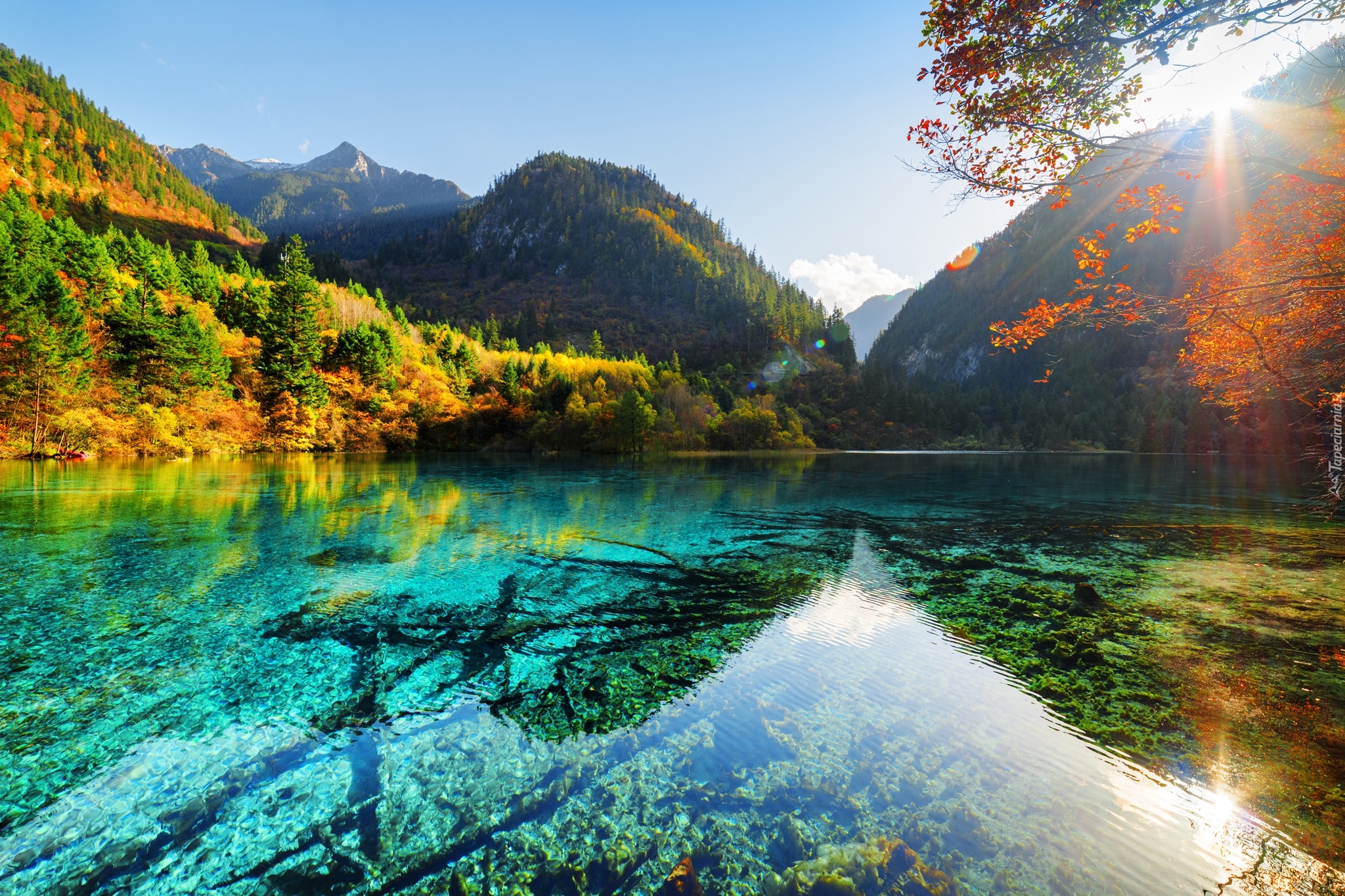 Chiny, Park Narodowy Jiuzhaigou, Jezioro Pięciu Kwiatów - Wu Hua Hai, Jesień, Góry, Las, Słońce