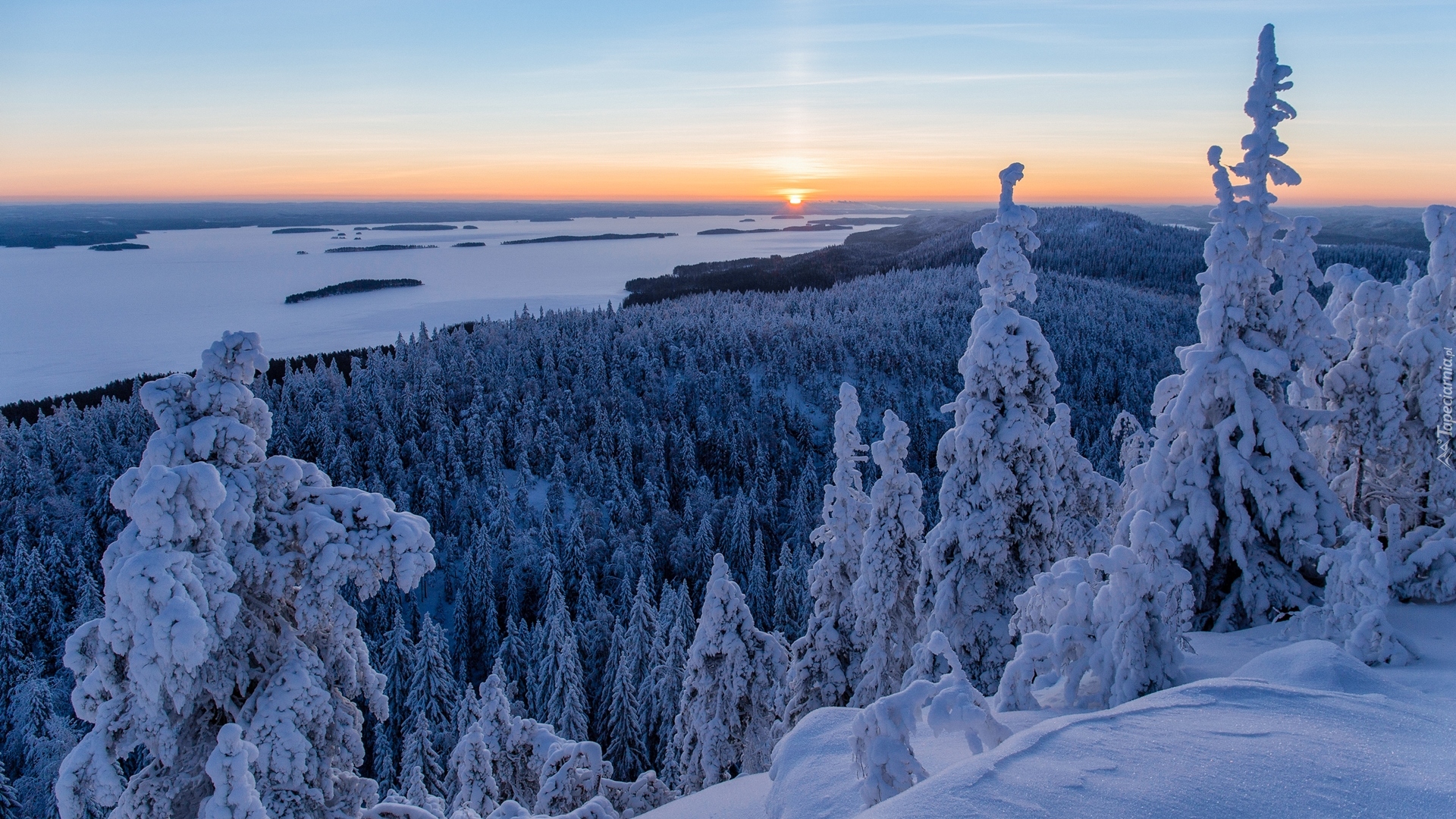 Finlandia, Karelia Północna, Park Narodowy Koli, Lieksa, Jezioro Pielinen, Zima, Las, Wzgórza, Ośnieżone, Świerki, Zachód słońca