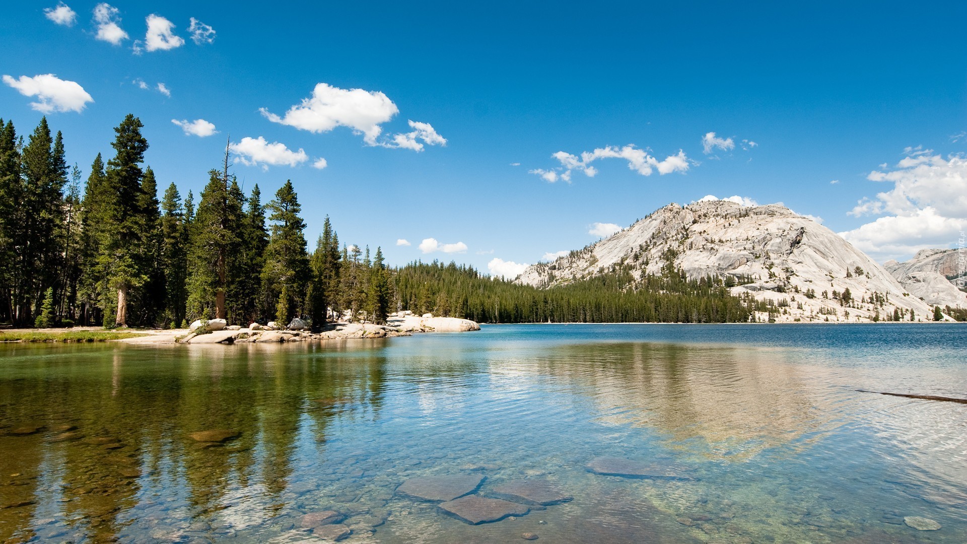 Stany Zjednoczone, Stan Kalifornia, Park Narodowy Yosemite, Jezioro Tenaya, Góry, Las