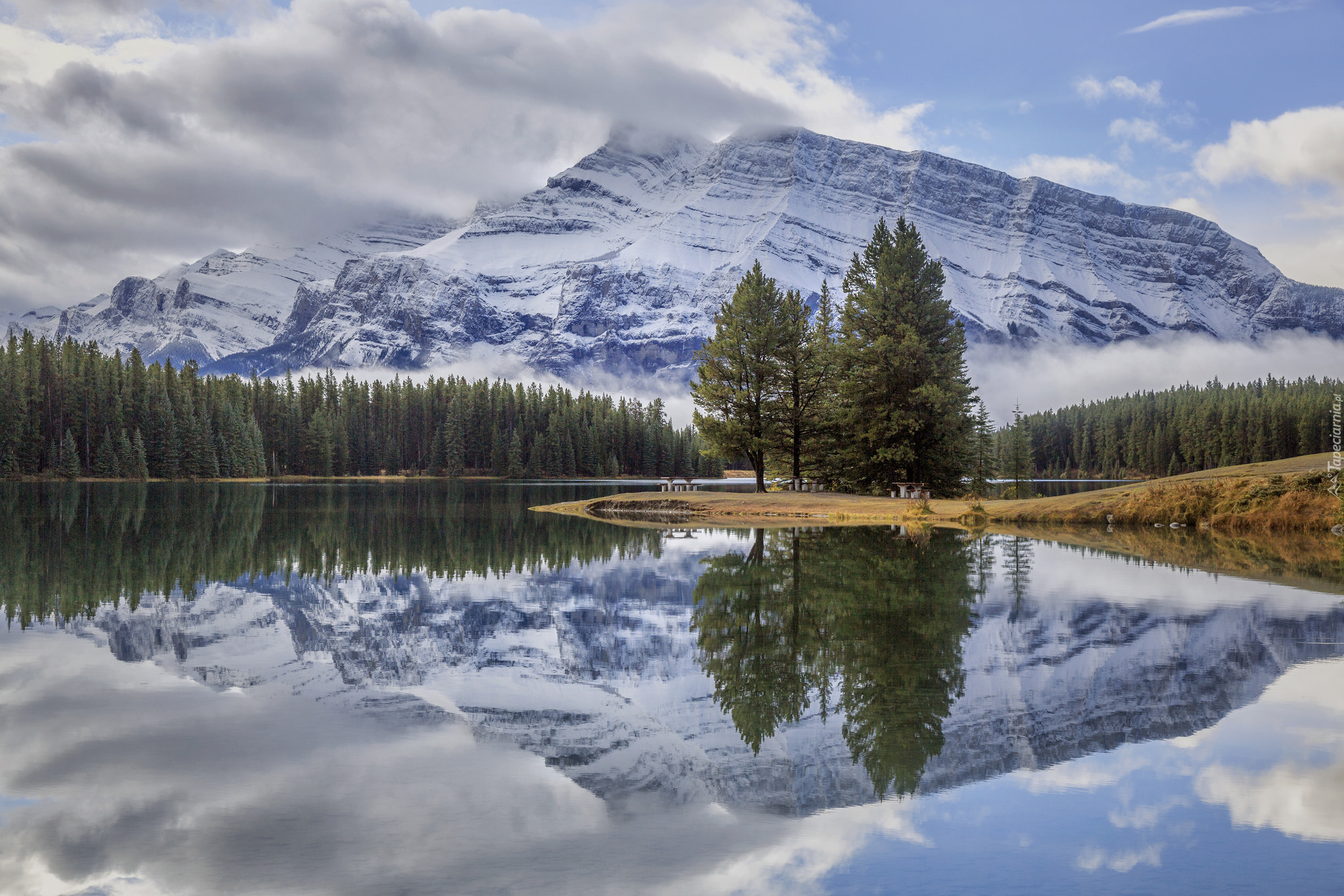 Jezioro, Two Jack Lake, Drzewa, Las, Odbicie, Góry, Góra Mount Rundle, Park Narodowy Banff, Alberta, Kanada