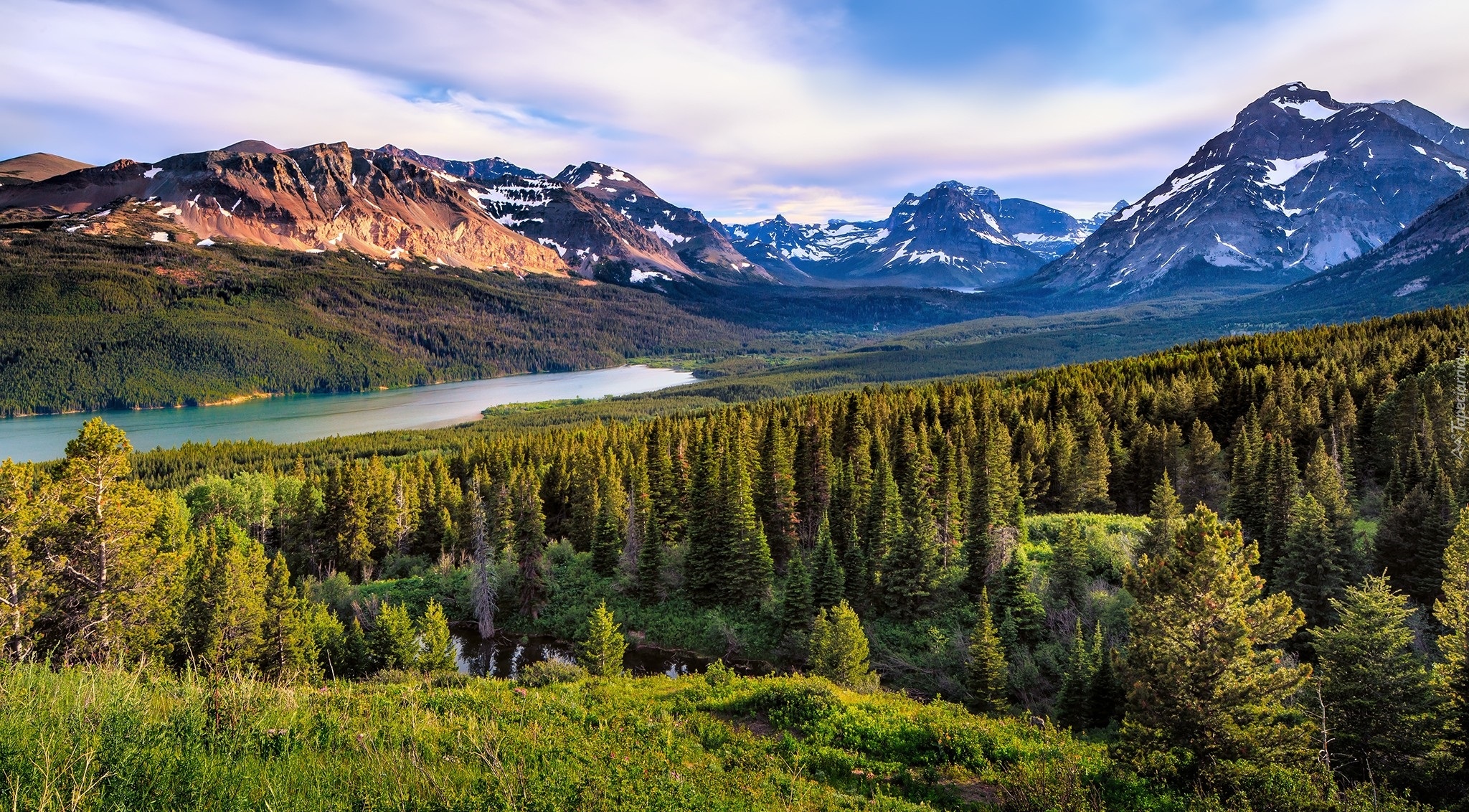 Stany Zjednoczone, Stan Montana, Park Narodowy Glacier, Góry, Jezioro Two Medicine Lake, Drzewa