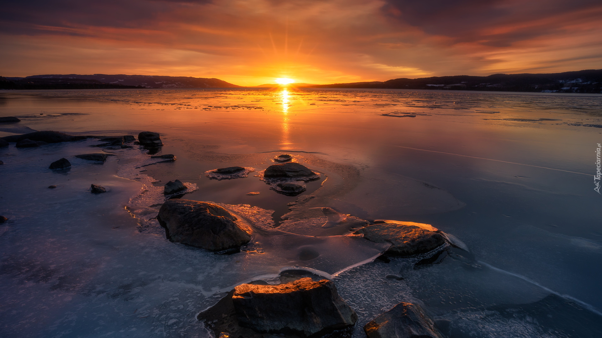 Jezioro Tyrifjorden, Chmury, Zachód słońca, Drzewo, Buskerud, Norwegia