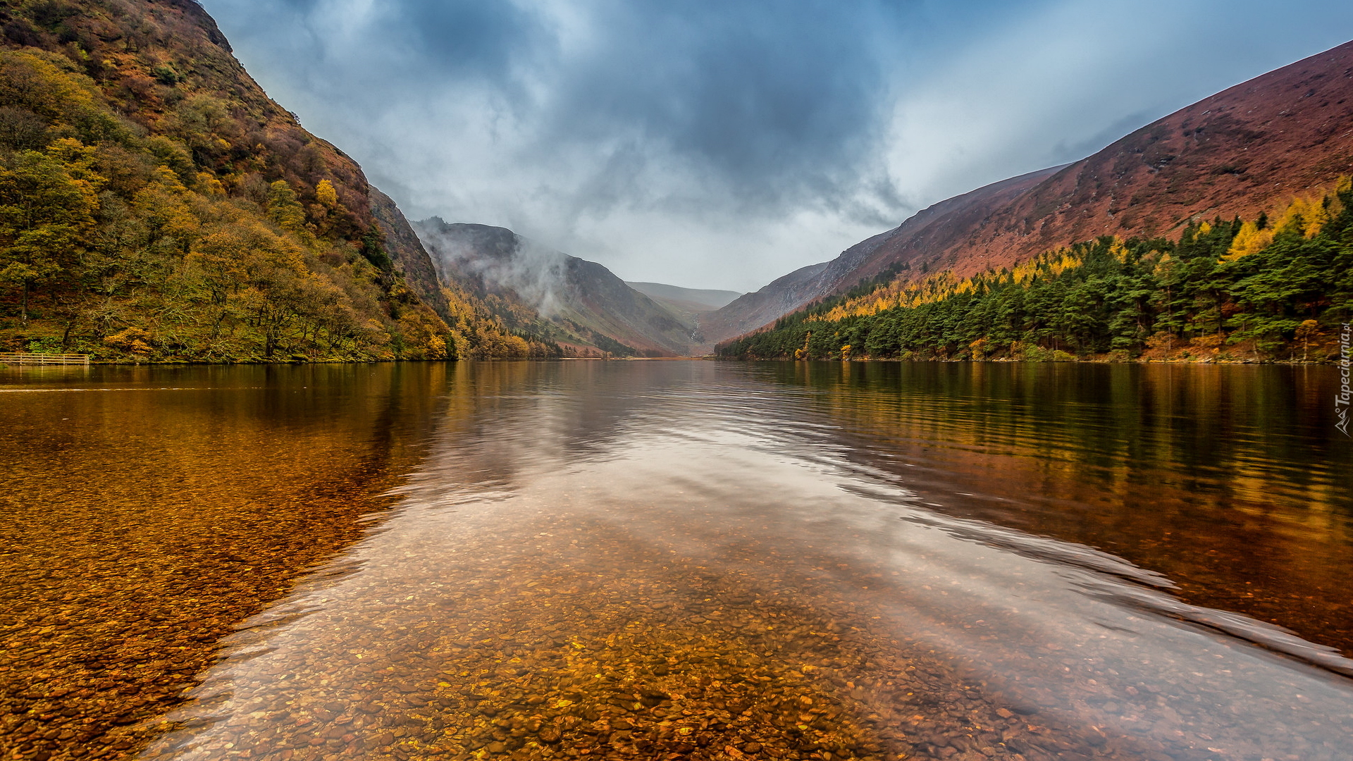 Jesień, Lasy, Drzewa, Jezioro, Upper Lake, Góry Wicklow, Dolina Glendalough, Irlandia