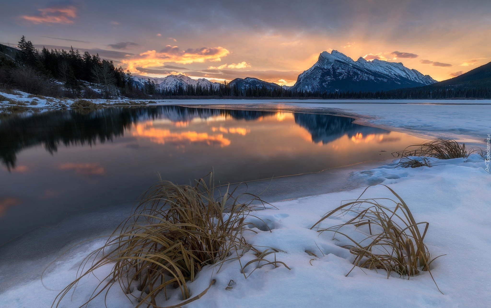 Jezioro Vermilion Lakes, Góra Mount Rundle, Park Narodowy Banff, Prowincja Alberta, Kanada, Zima, Wschód słońca, Góry, Kępy, Trawa