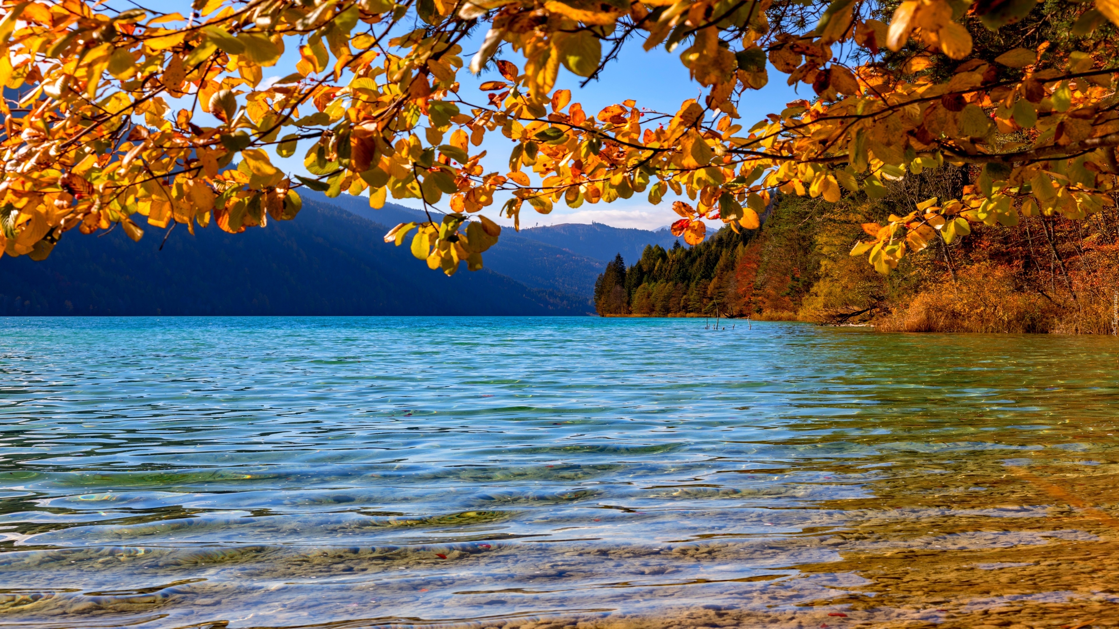 Jezioro Weissensee, Gałęzie, Liście, Drzewa, Góry, Alpy Gailtalskie, Jesień, Austria