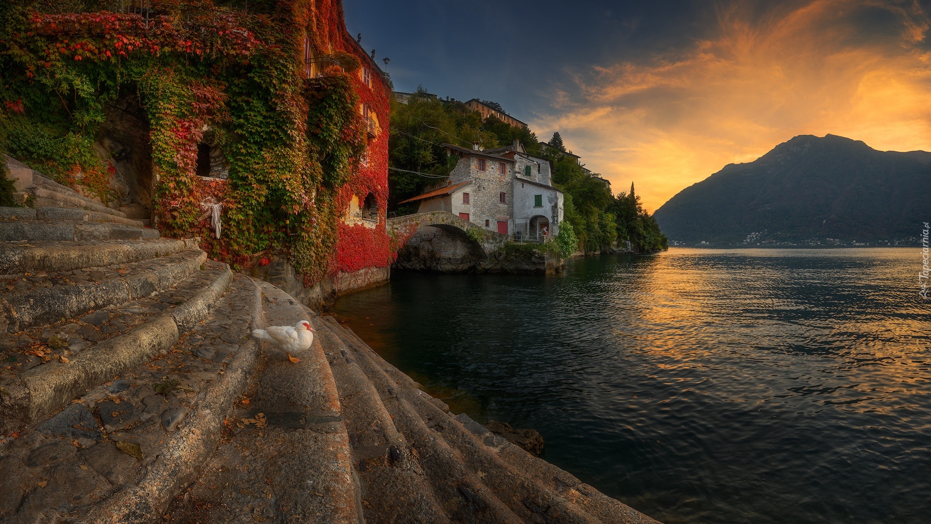 Włochy, Jezioro, Como Lake, Zachód słońca, Góry, Domy, Schody, Kaczka