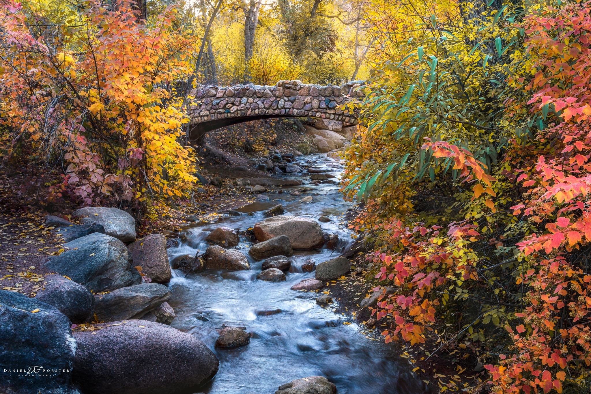 Jesień, Potok, North Cheyenne Creek, Kamienie, Most, Kolorowe, Drzewa, Krzewy, Colorado Springs, Kolorado, Stany Zjednoczone