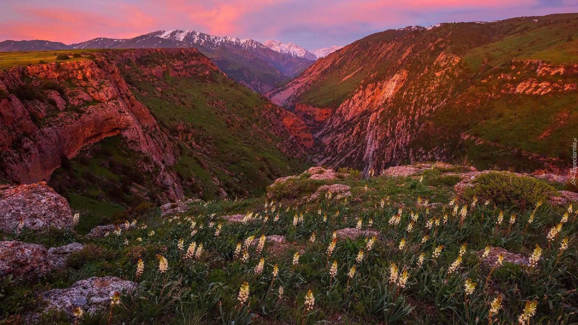 Kazachstan, Rezerwat przyrody Aksu-Zhabagly, Kanion rzeki Aksu, Góry, Zachód słońca