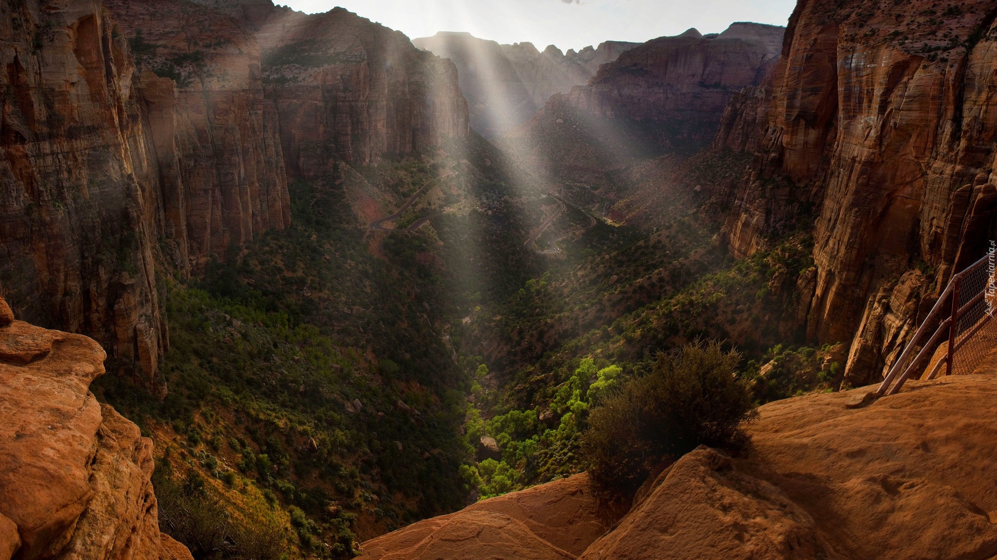Kanion, Zion Canyon, Promienie słońca, Rośliny, Skały, Park Narodowy Zion, Dolina, Stan Utah, Stany Zjednoczone