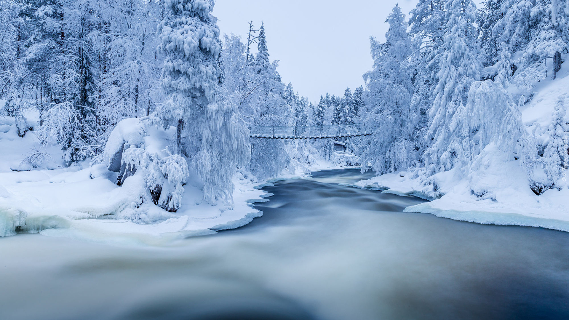 Finlandia, Laponia, Park Narodowy Oulanka, Rzeka Kitkajoki, Katarakty Myllykoski, Zima, Śnieg, Las, Ośnieżone, Drzewa, Most