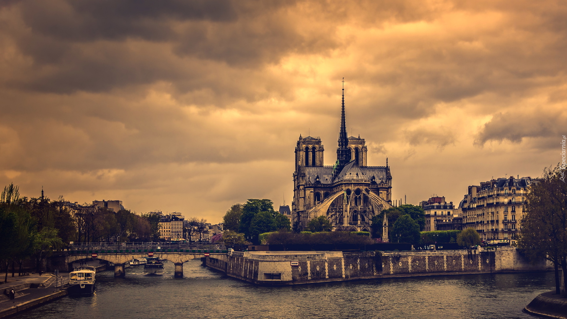 Rzeka Sekwana, Most, Katedra Notre Dame, Domy, Paryż, Francja