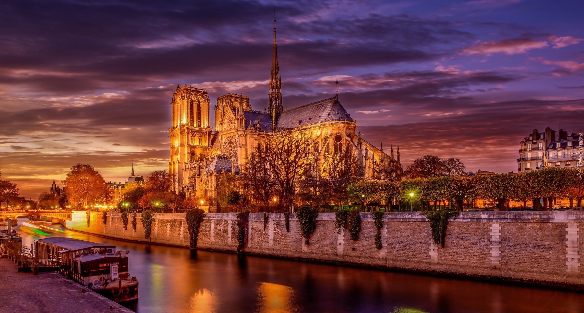 Katedra Notre Dame, Rzeka Sekwana, Noc, Paryż, Francja