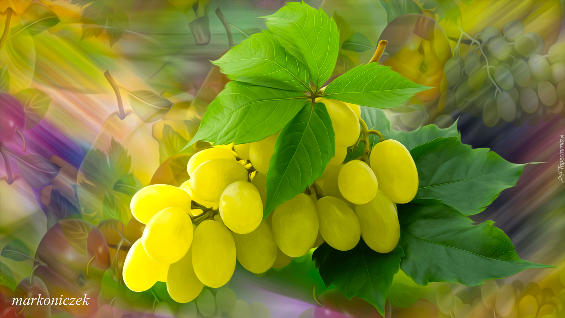 Owoce, Winogrona, Grafika