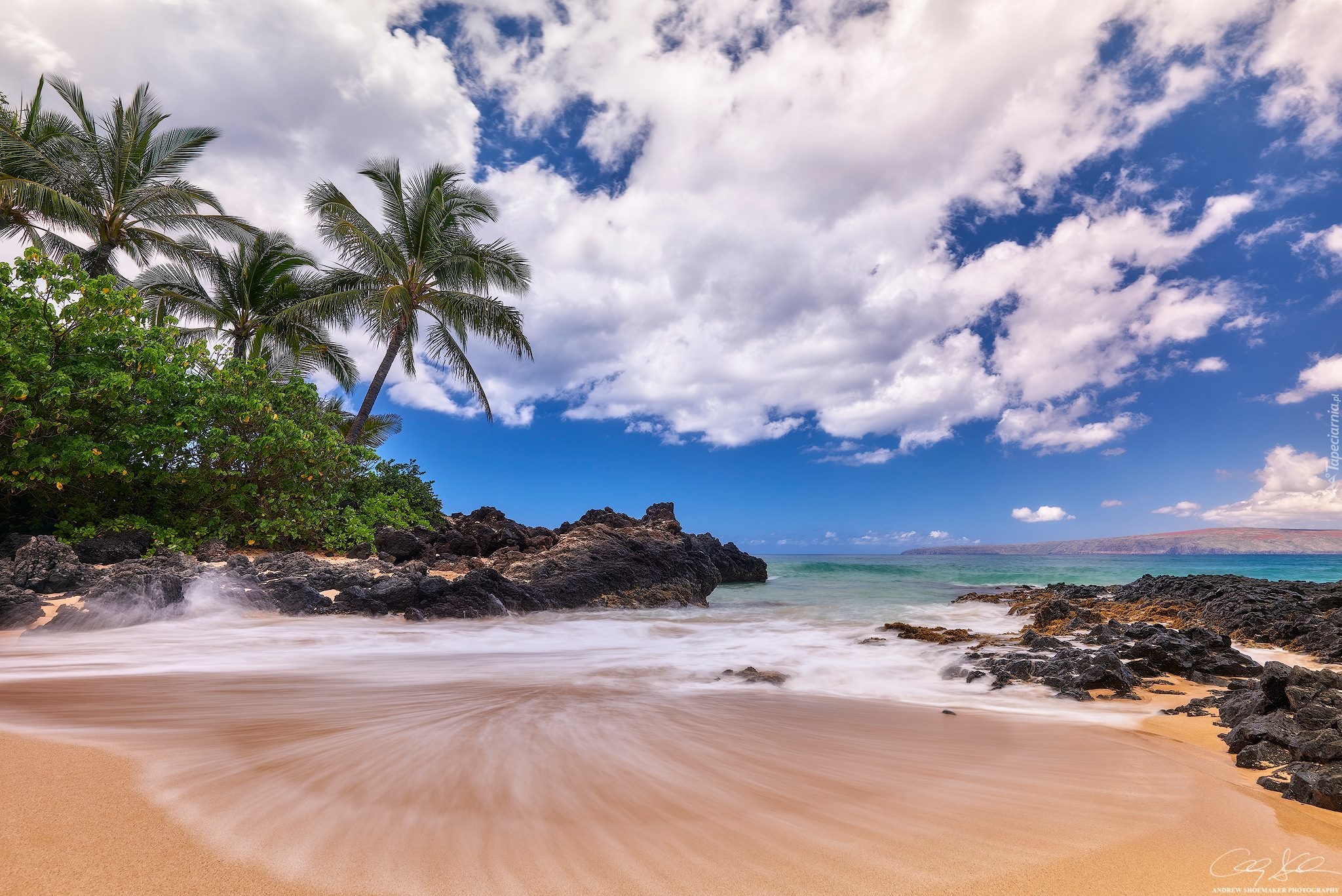 Hawaje, Palmy, Roślinność, Chmury
