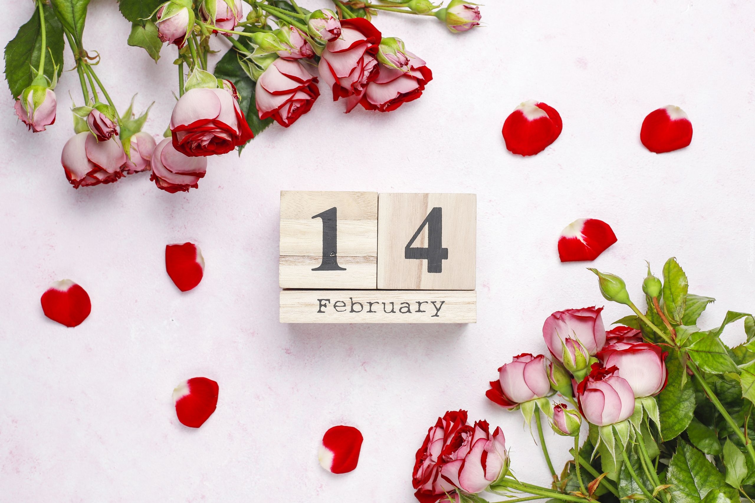 Kwiaty, Róże, Klocki, Data, 14 luty, Walentynki