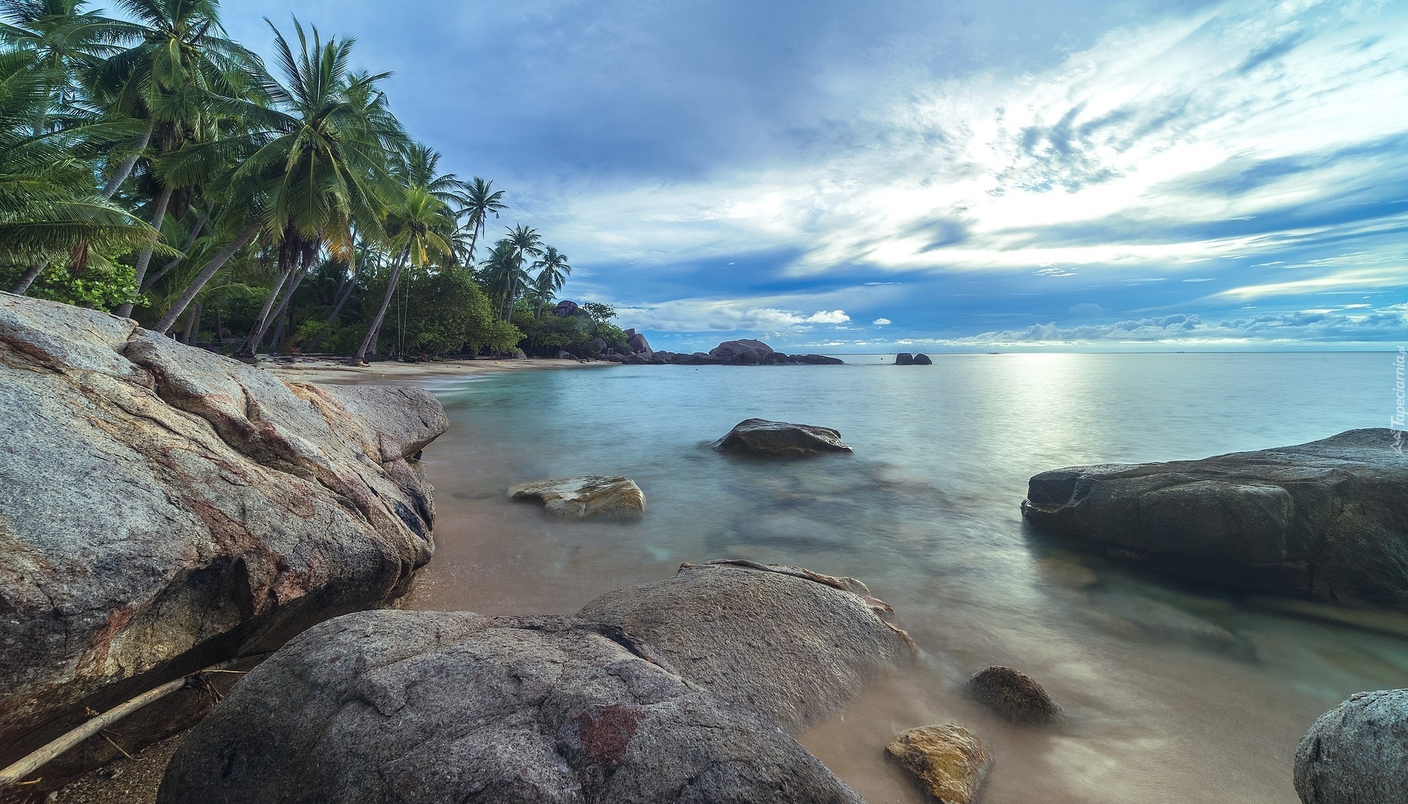 Tajlandia, Ocean Spokojny, Zatoka Tajlandzka, Prowincja Surat Thani, wyspa Ko Tao, Morze, Kamienie, Palmy