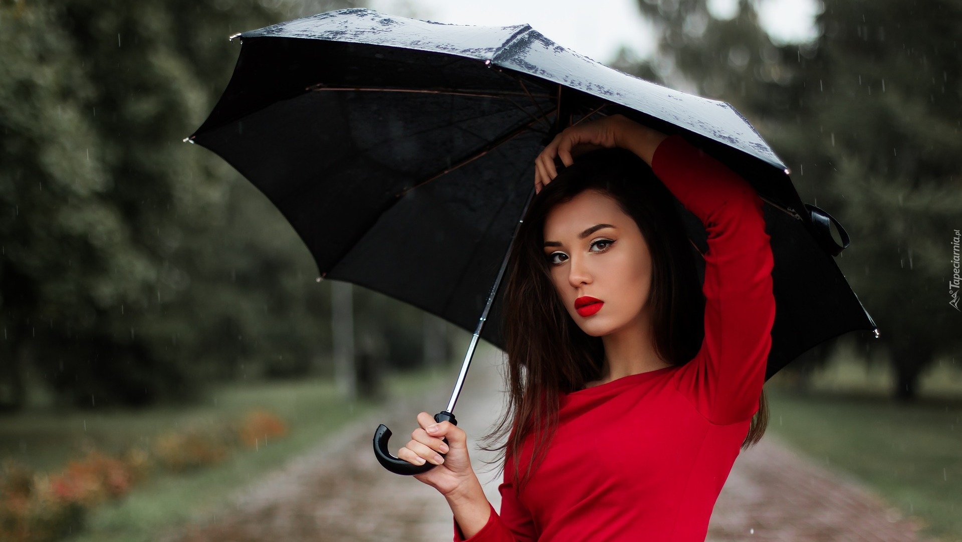 Kobieta, Deszcz, Parasol