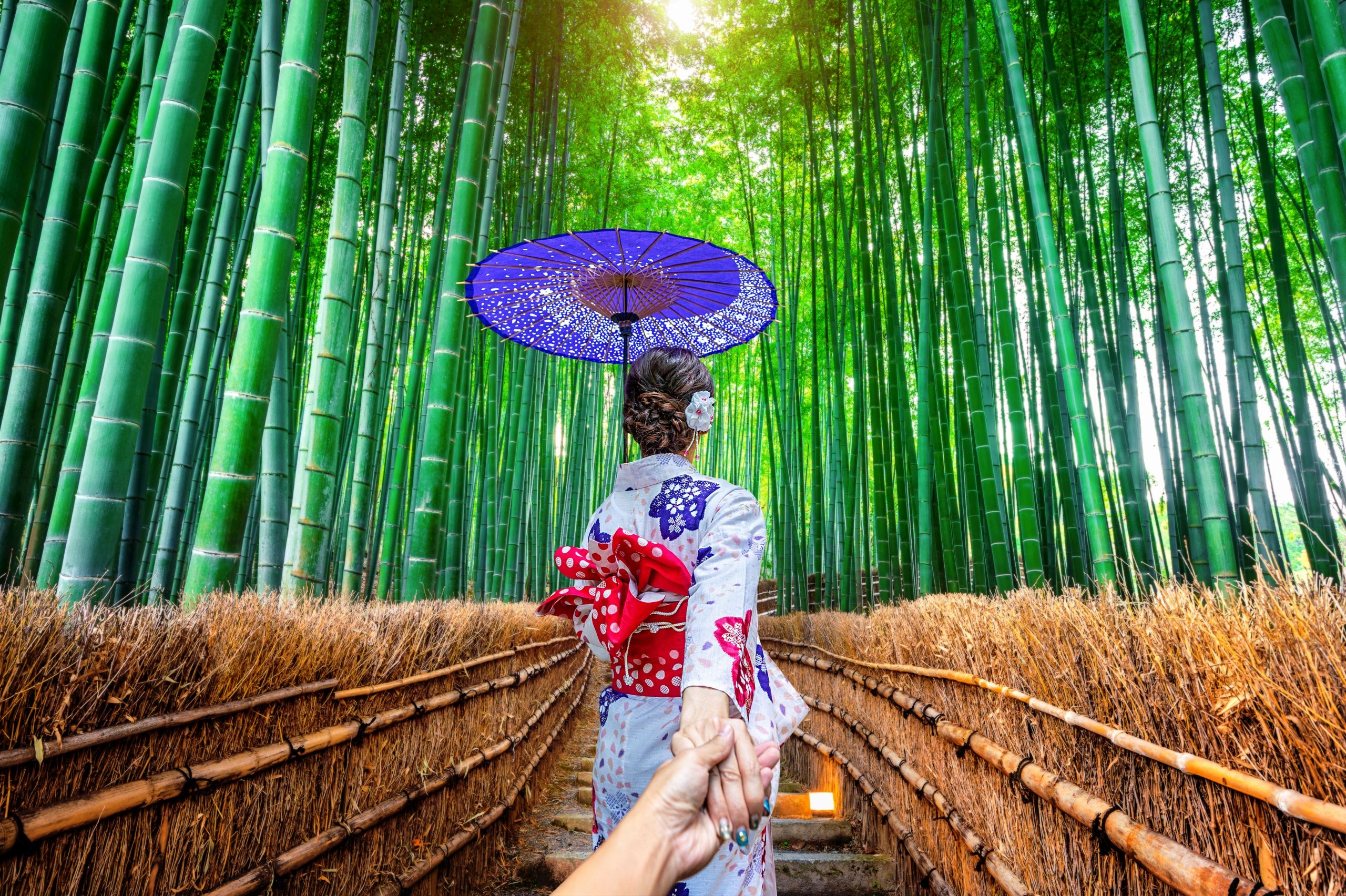 Kobieta, Azjatka, Kimono, Parasolka, Schody, Las bambusowy, Arashiyama Bamboo Forest, Kioto, Japonia