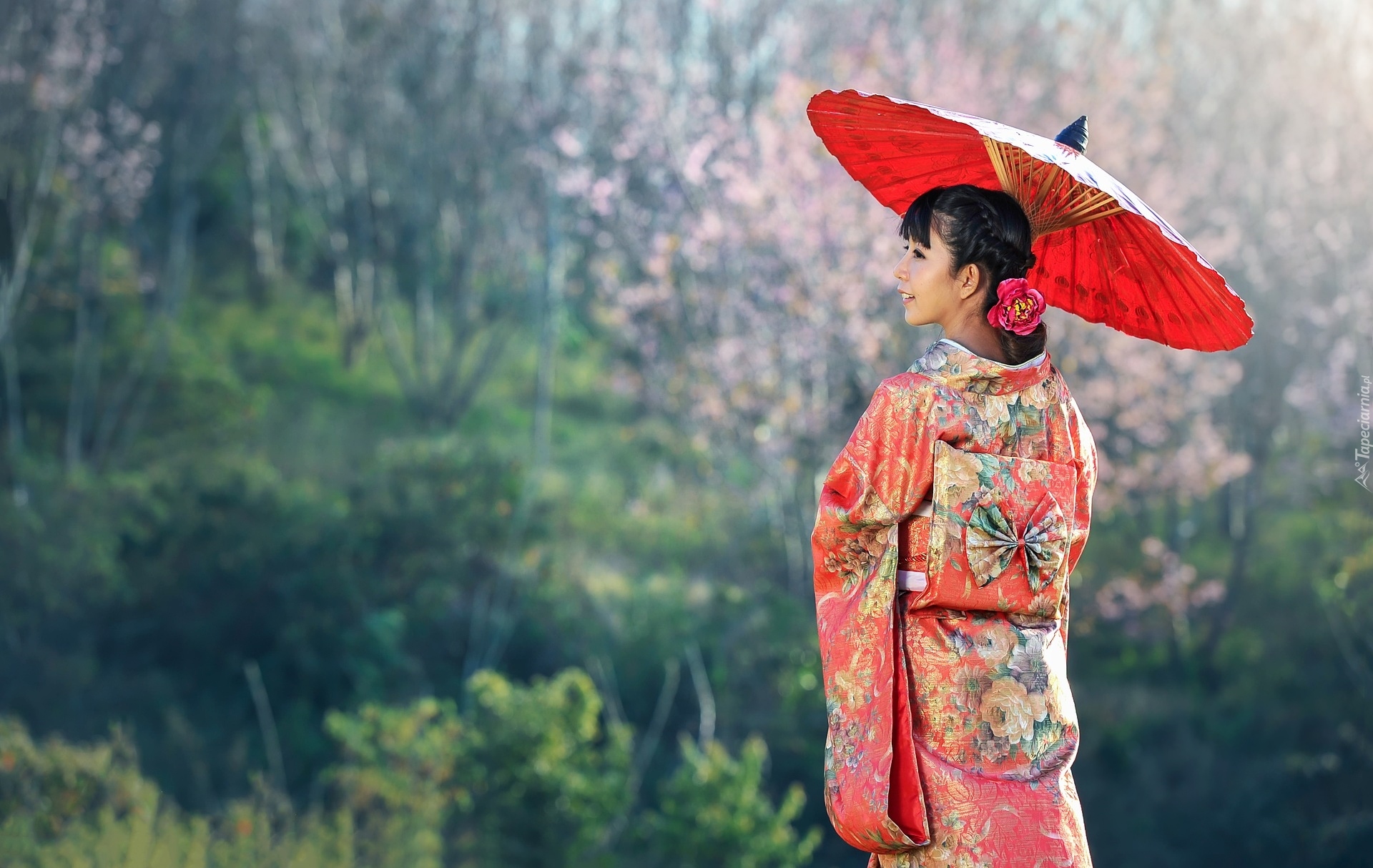 Kobieta, Azjatka, Kimono, Czerwona, Parasolka
