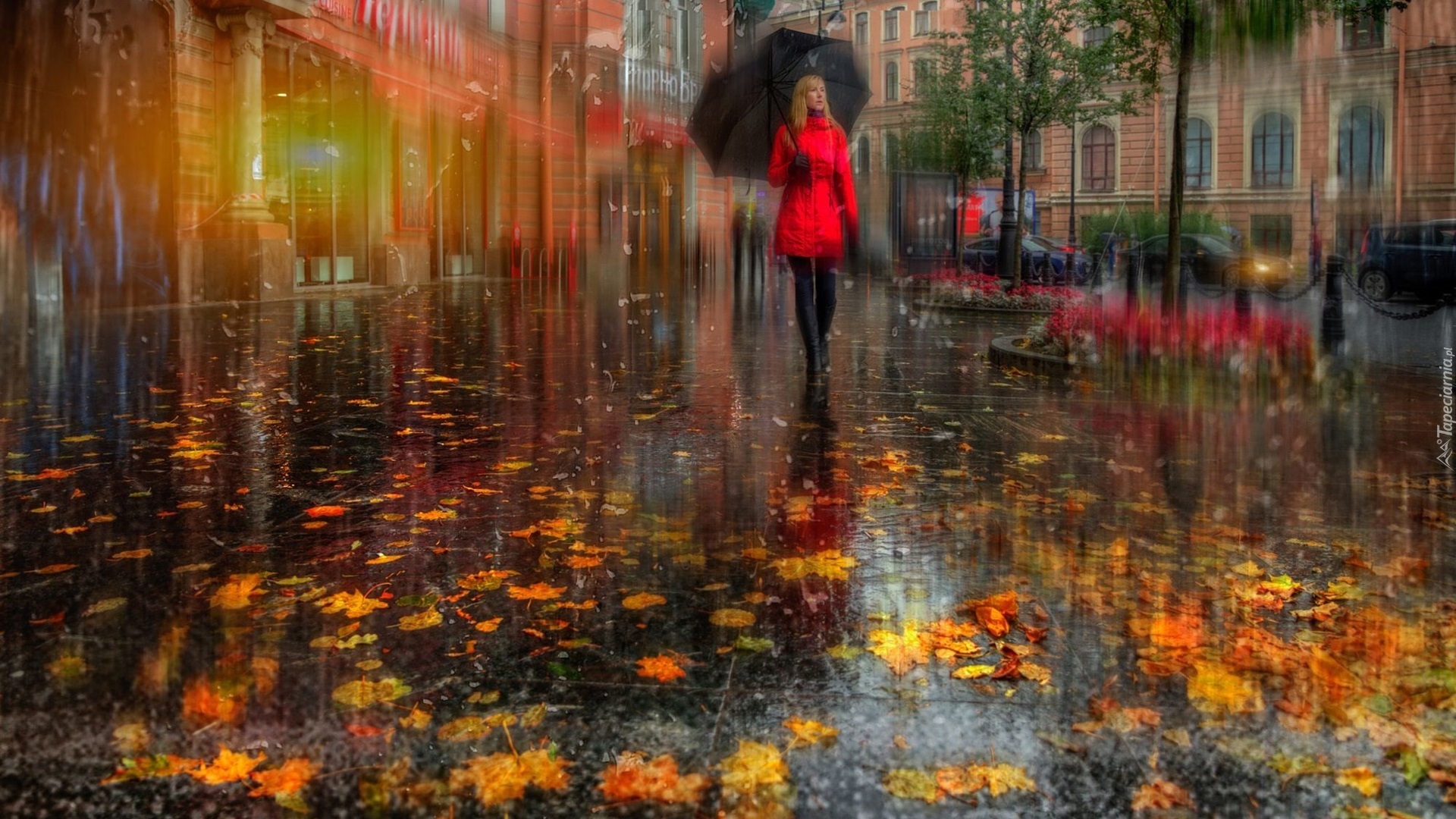 Kobieta, Parasol, Ulica, Liście, Deszcz