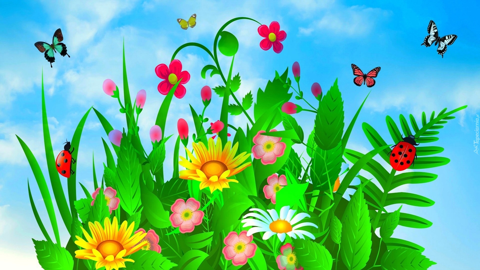 Grafika 2D, Kwiatki, Motyle, Biedronki