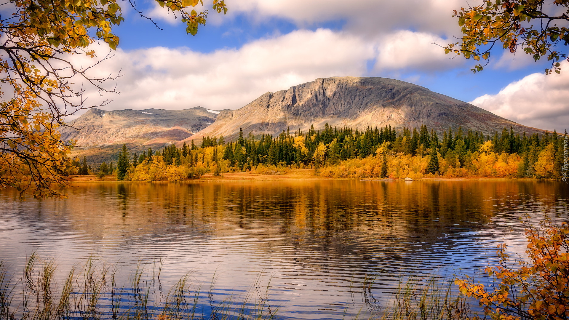 Jesień, Jezioro, Skaliste, Góry, Drzewa
