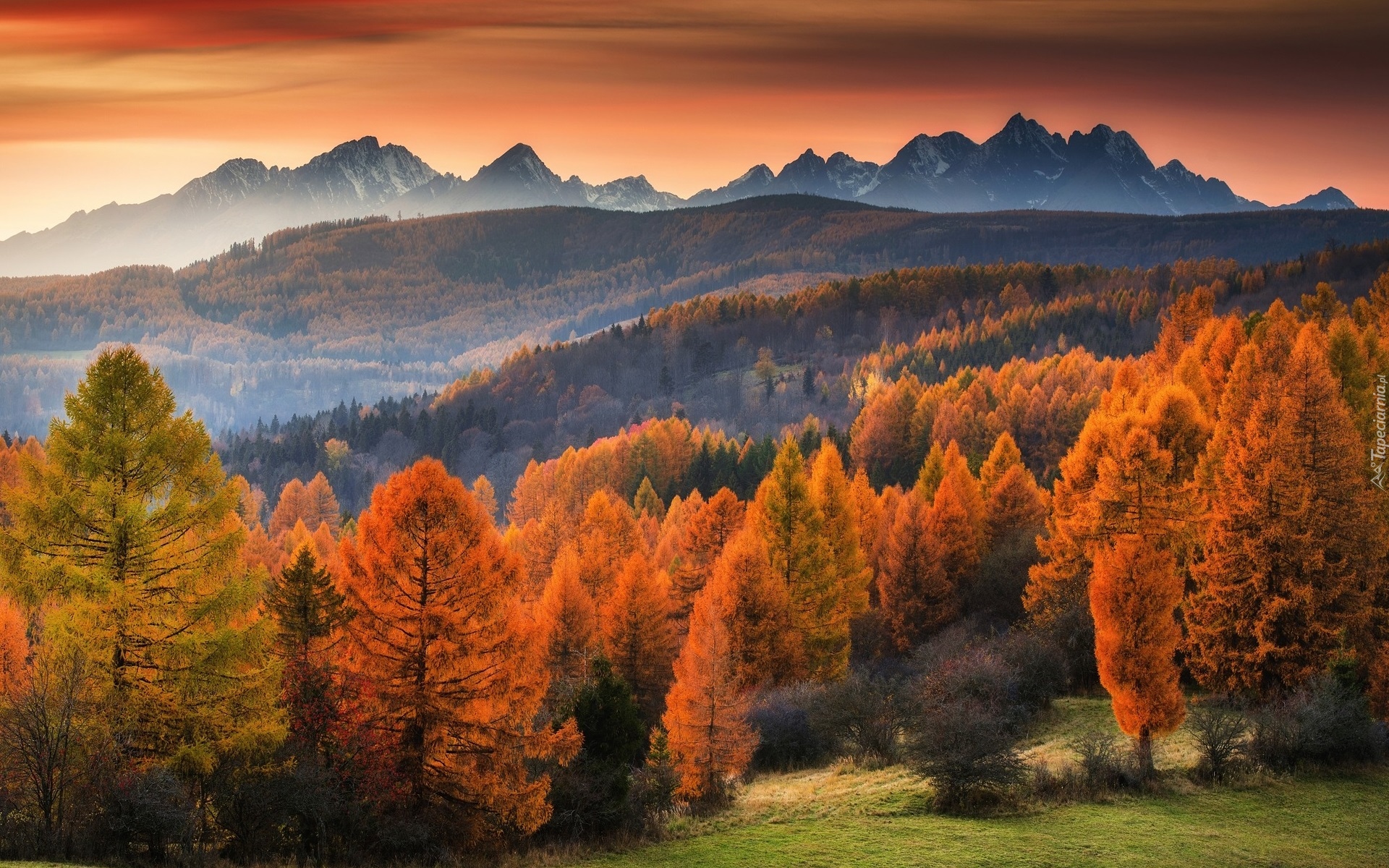 Góry, Las, Drzewa, Jesień, Mgła