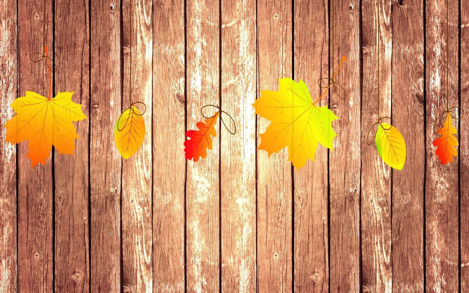 Jesień, Kolorowe, Liście, Deski, Płot, Grafika 2D