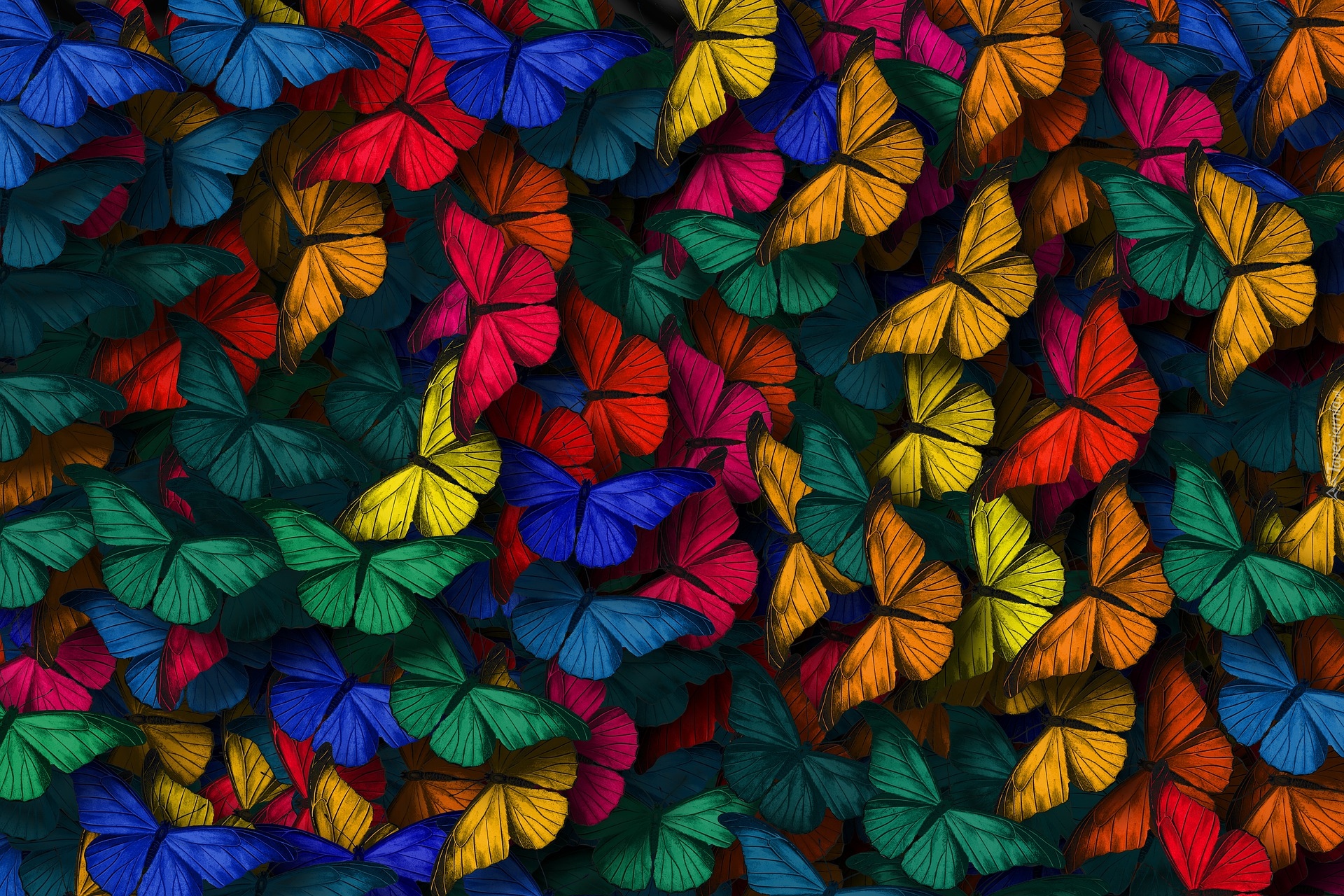 Kolorowe, Motyle, 2D