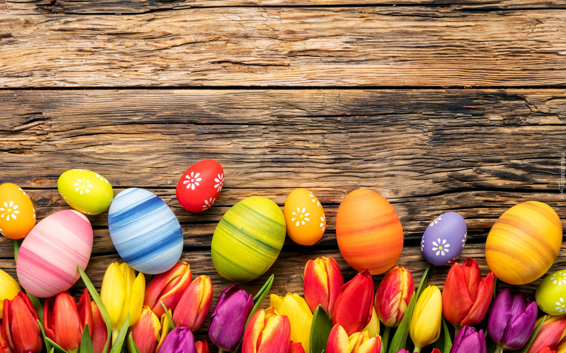 Wielkanoc, Kolorowe, Pisanki, Kwiaty, Tulipany, Deski