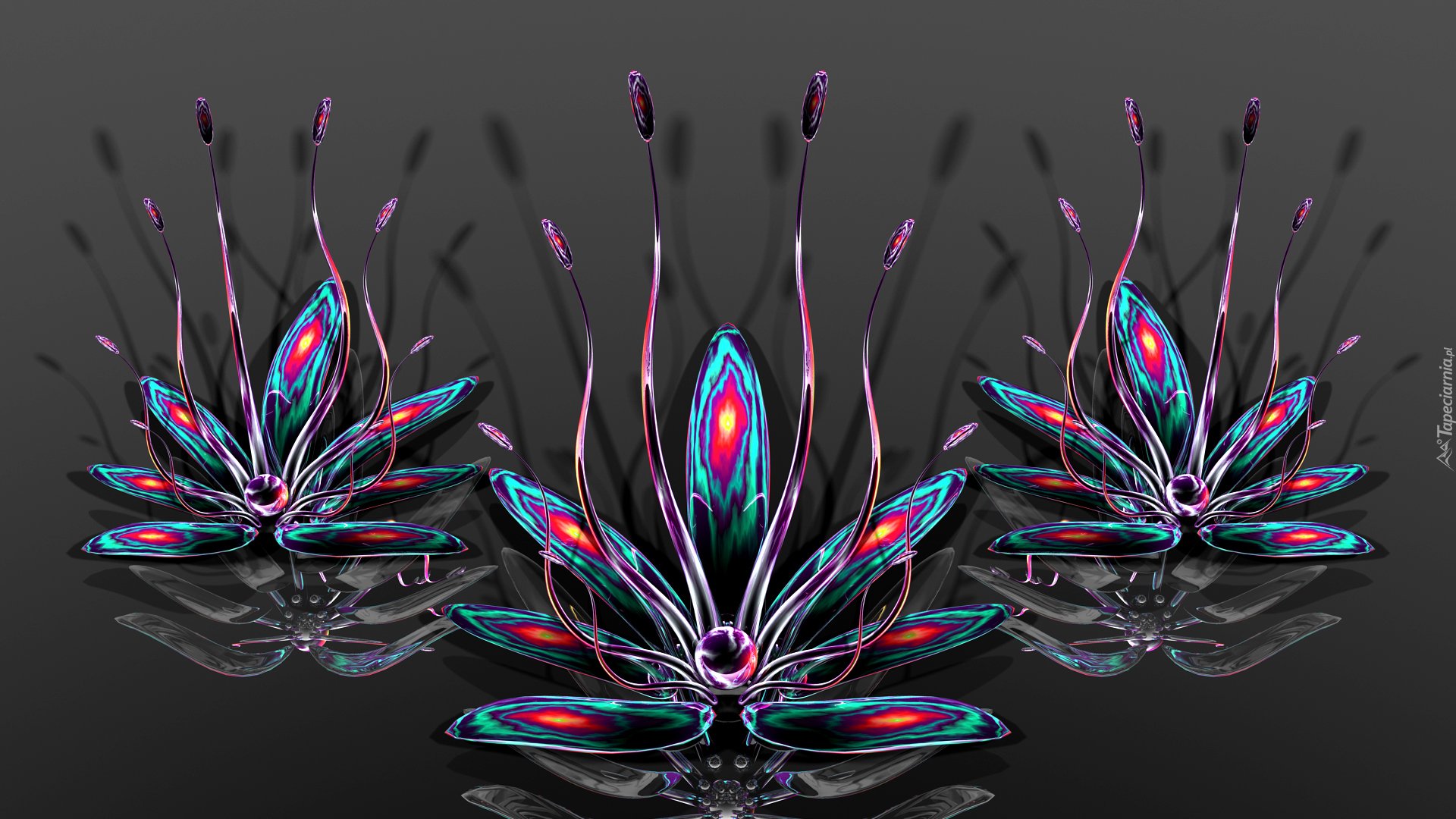 Grafika 3D, Kwiaty, Pręciki