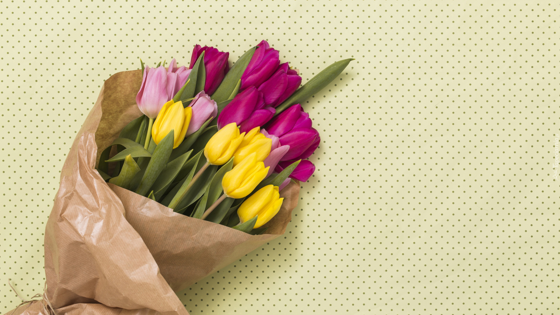 Kolorowe, Kwiaty, Tulipany, Papier