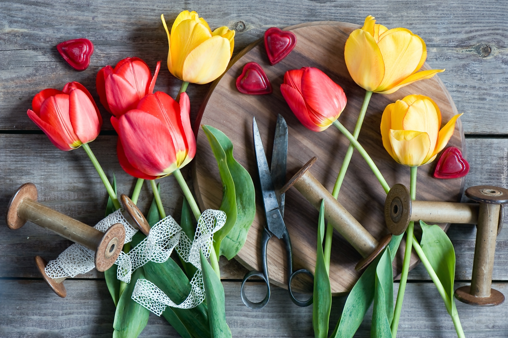 Kolorowe, Tulipany, Nożyczki, Kompozycja
