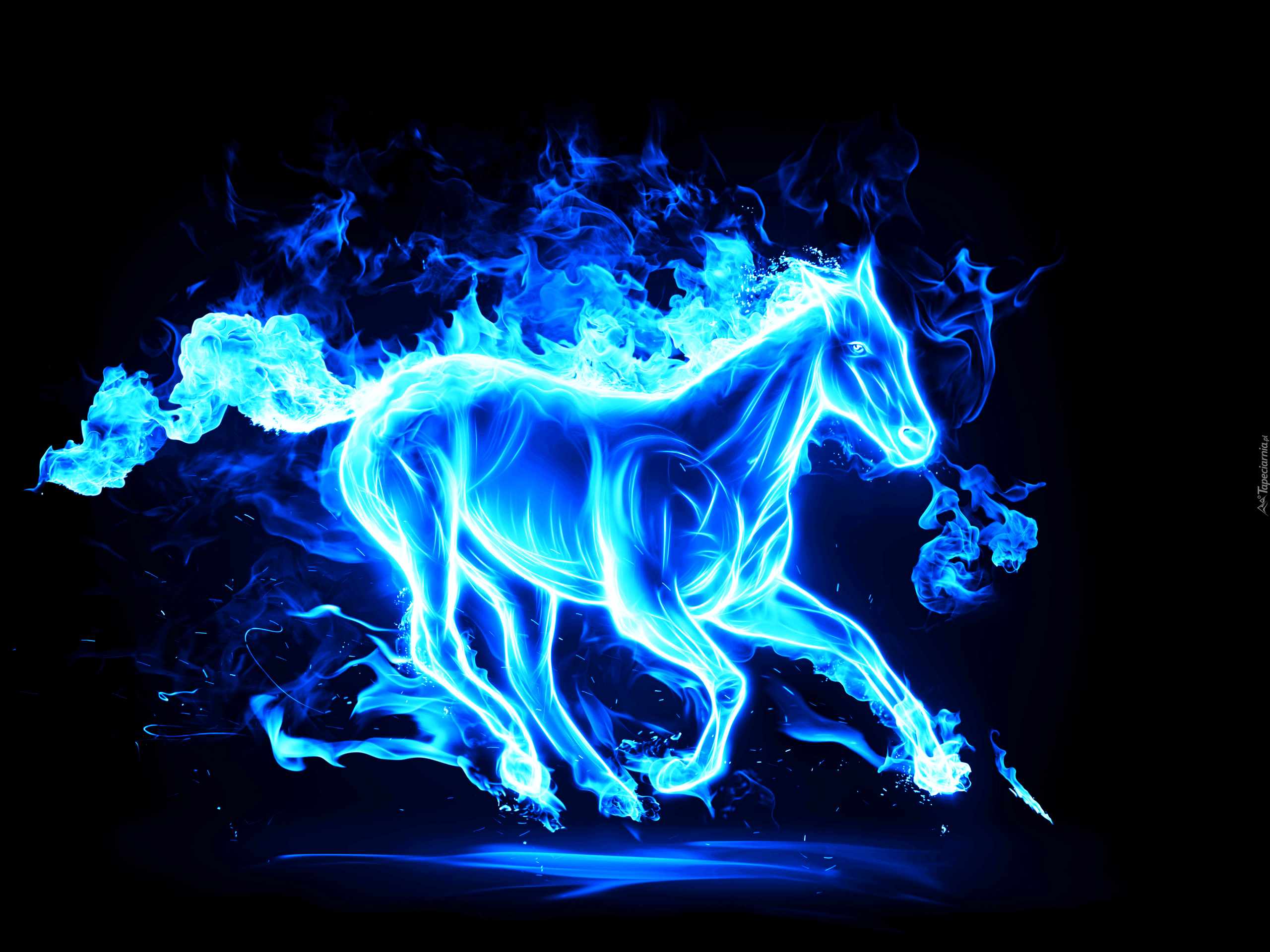 Koń, Grafika 3D Koń