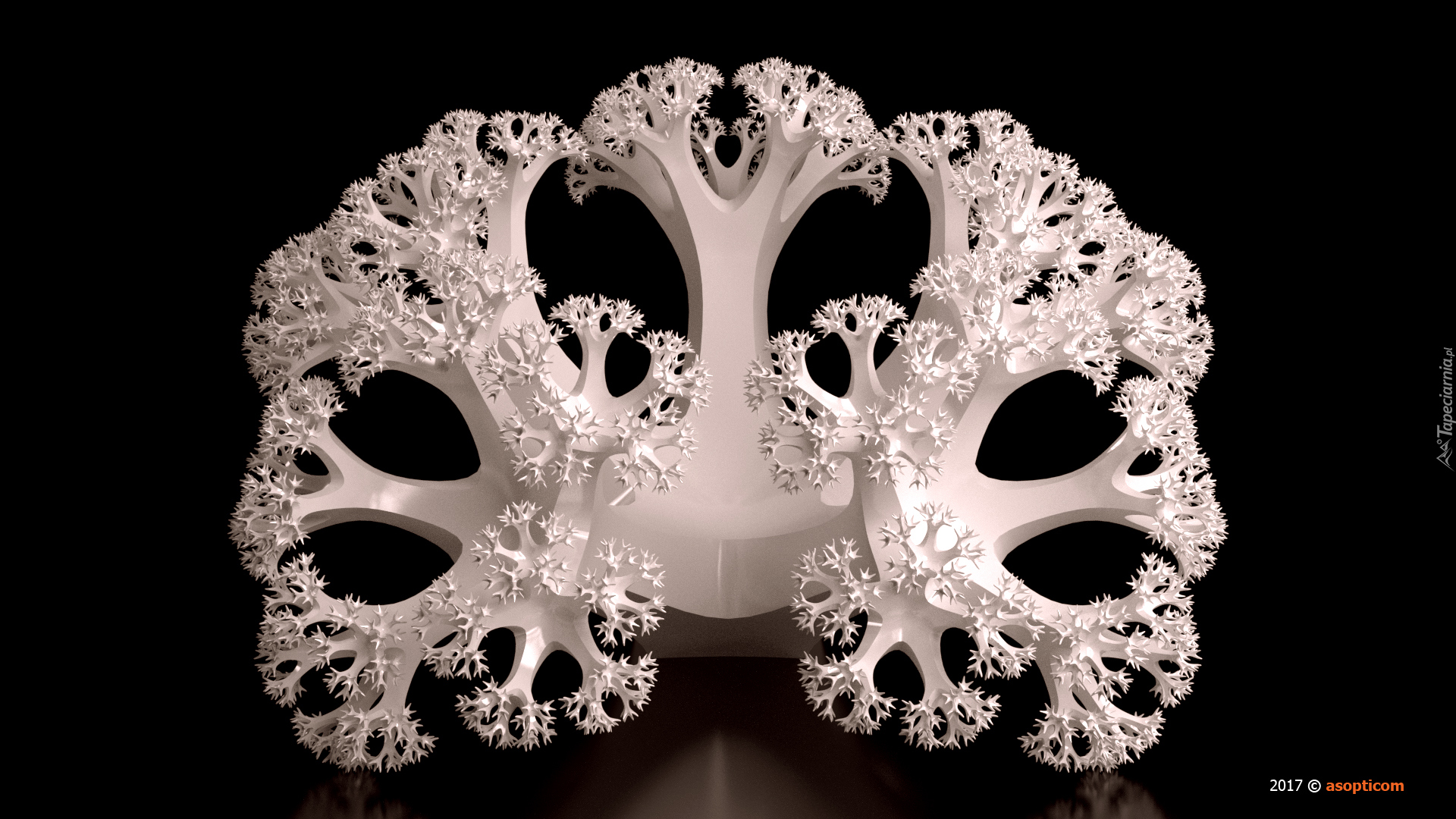 Grafika 3D, Koralowiec